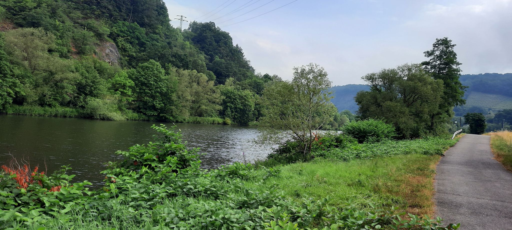 An der Saar