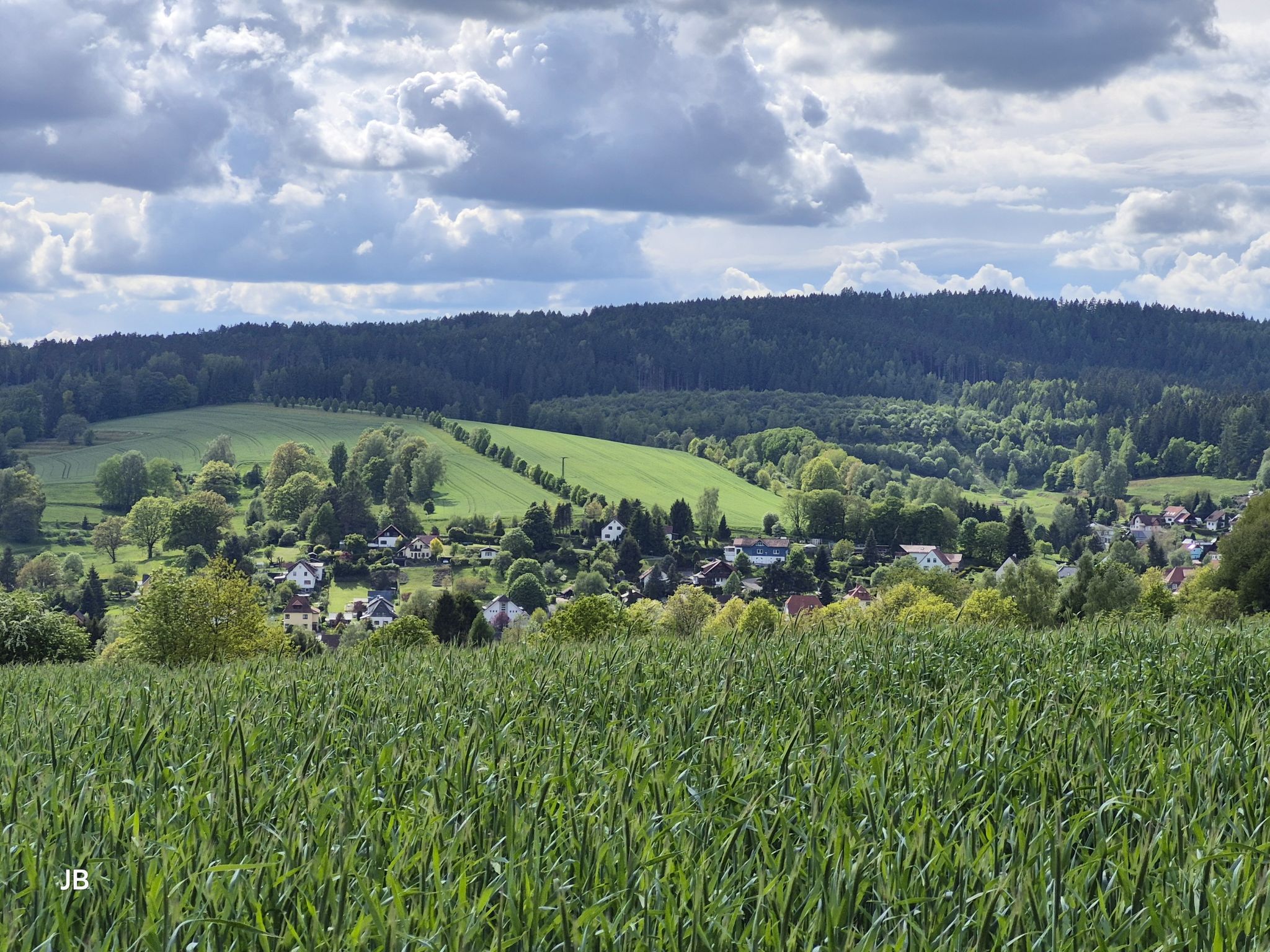 Blick nach Erlau