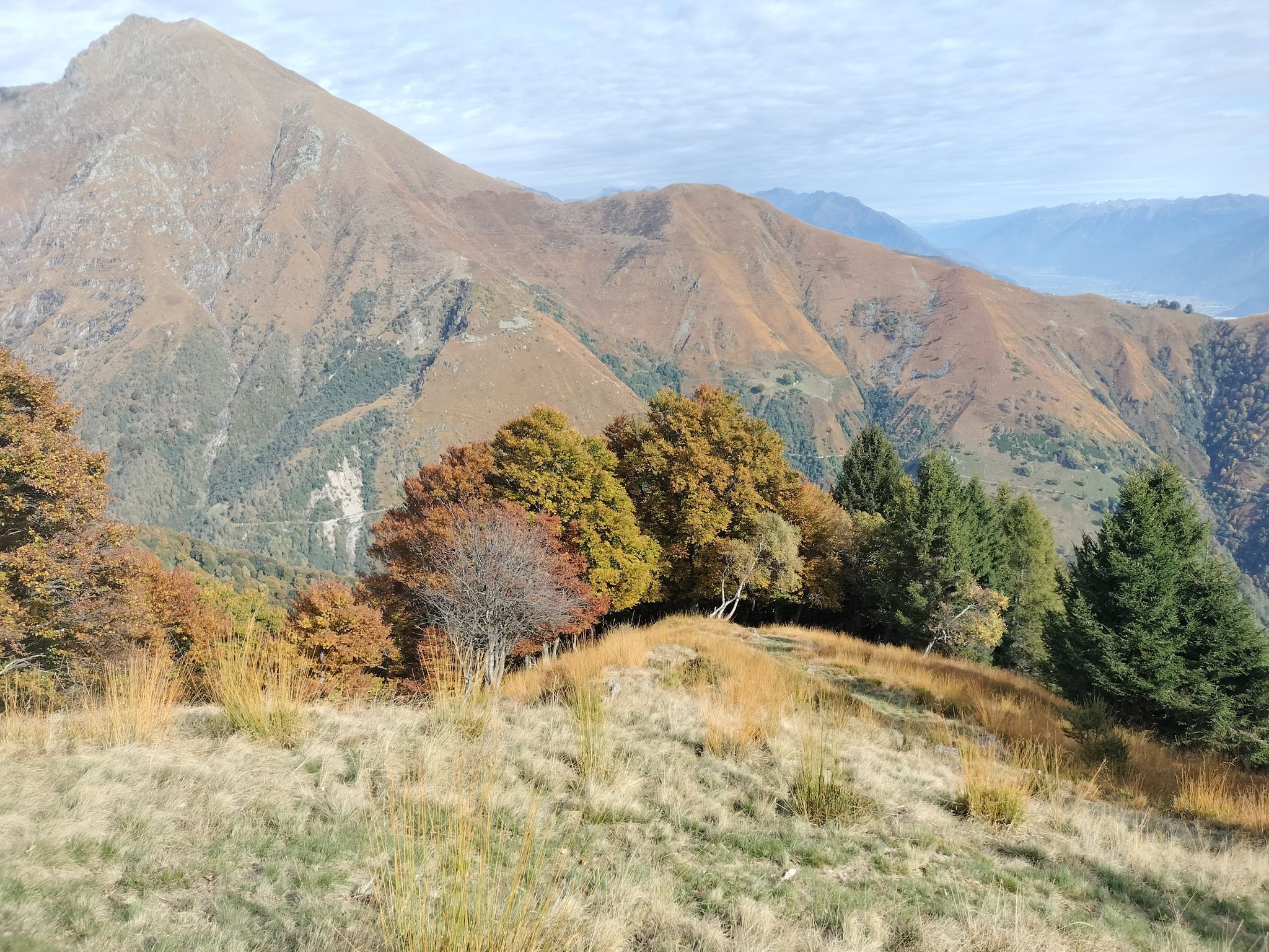 Colori autunnali.