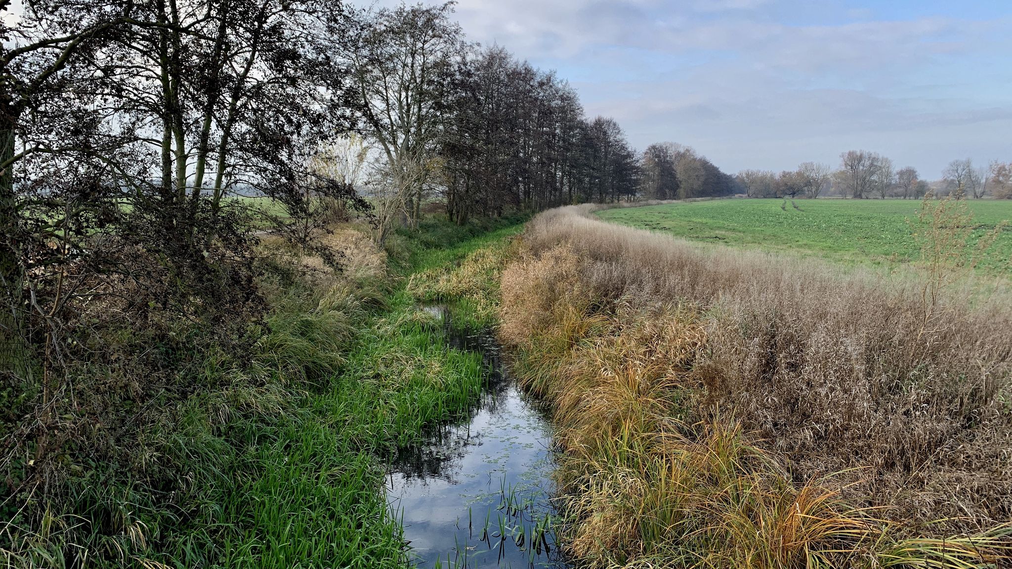 Zülowkanal