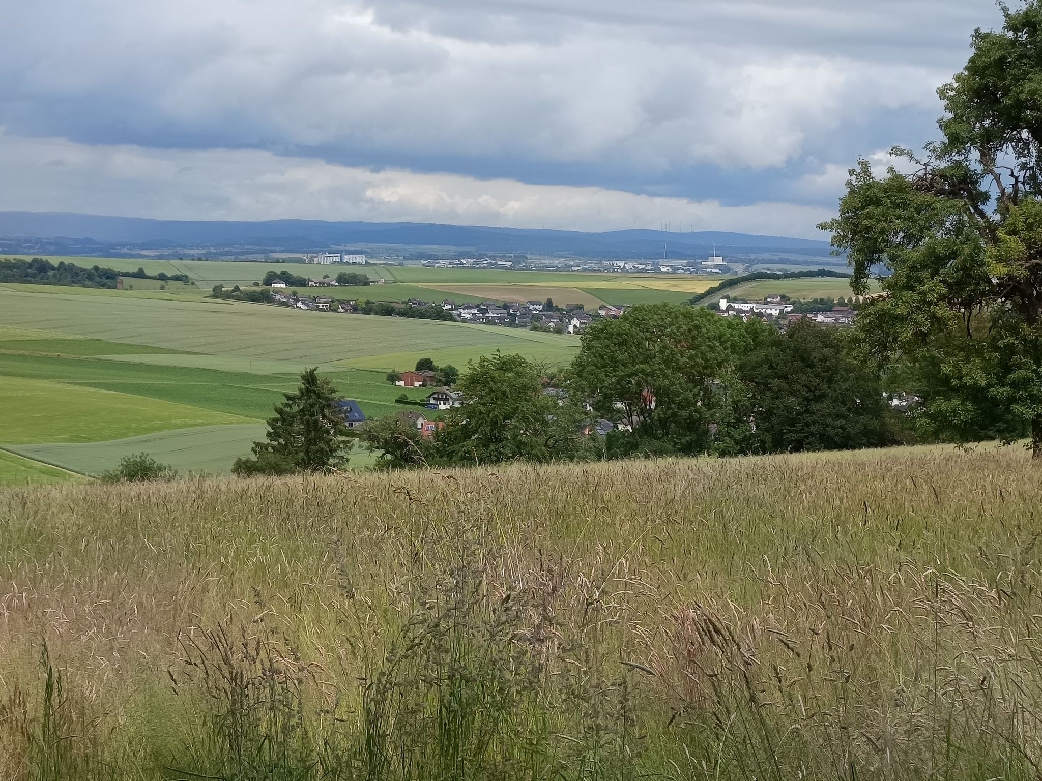 Limburg in der Ferne!