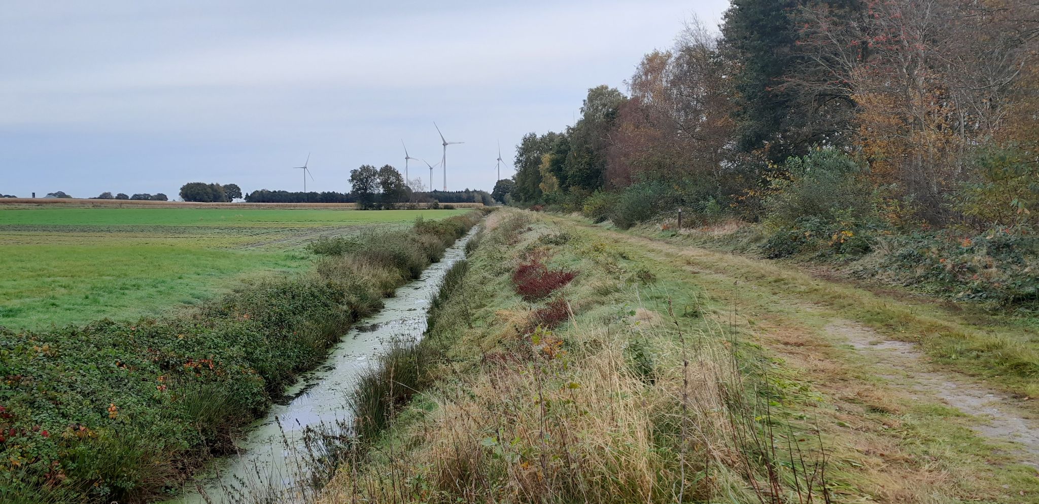 Wehmer Graben und Feldweg