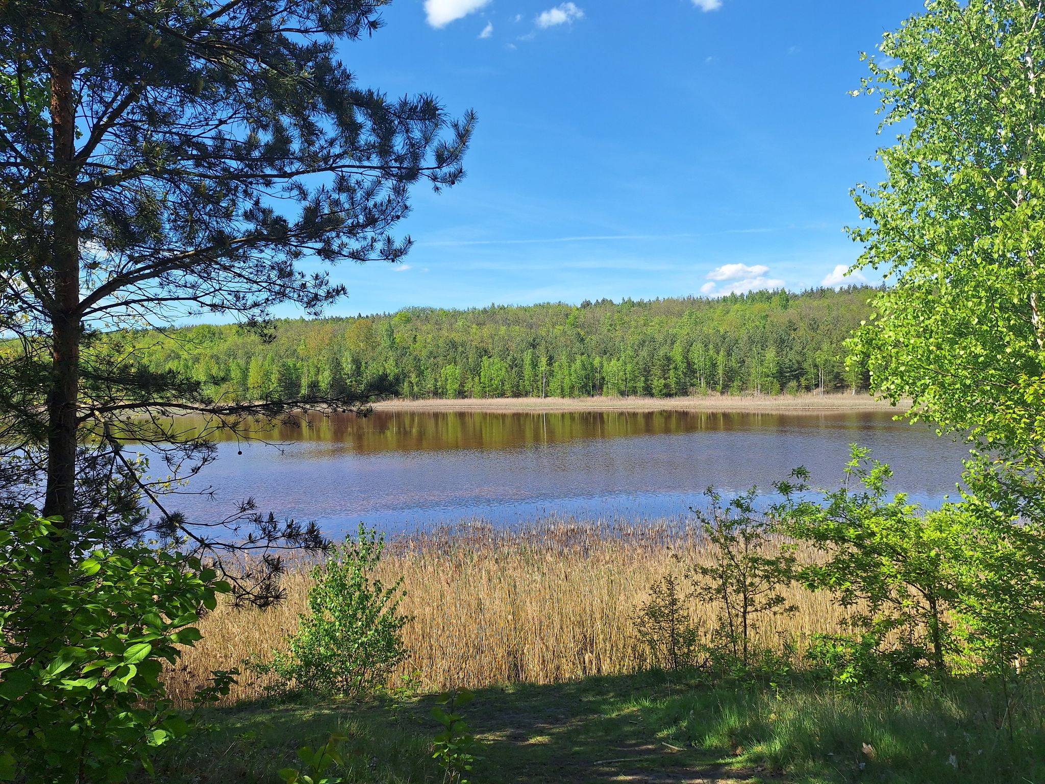 Blick auf den Laugkteich - Ruhe und sonst nix-
