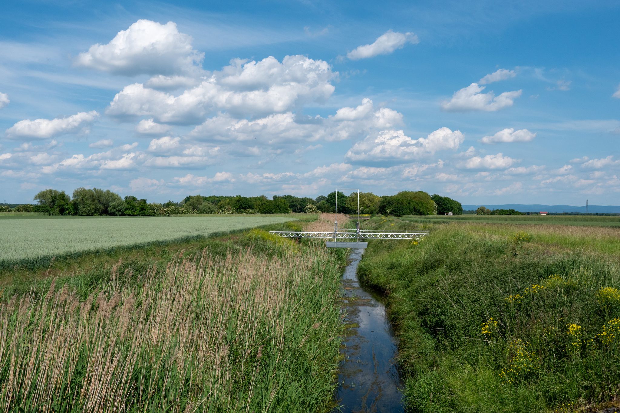 Blick von der alten Steinbrücke