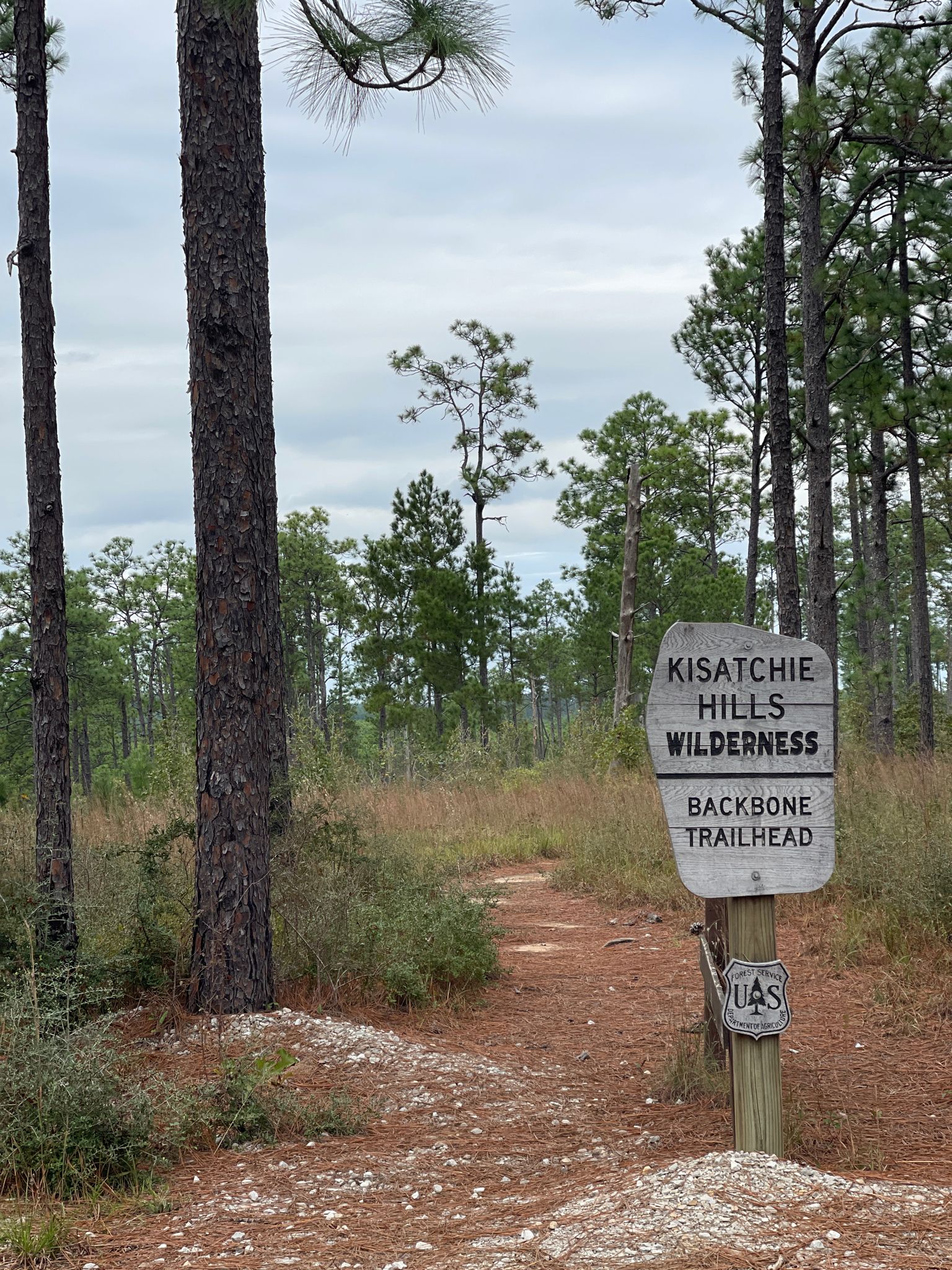 A wooden sign marks a dirt path leading into a pine forest. - Longleaf Scenic Byway