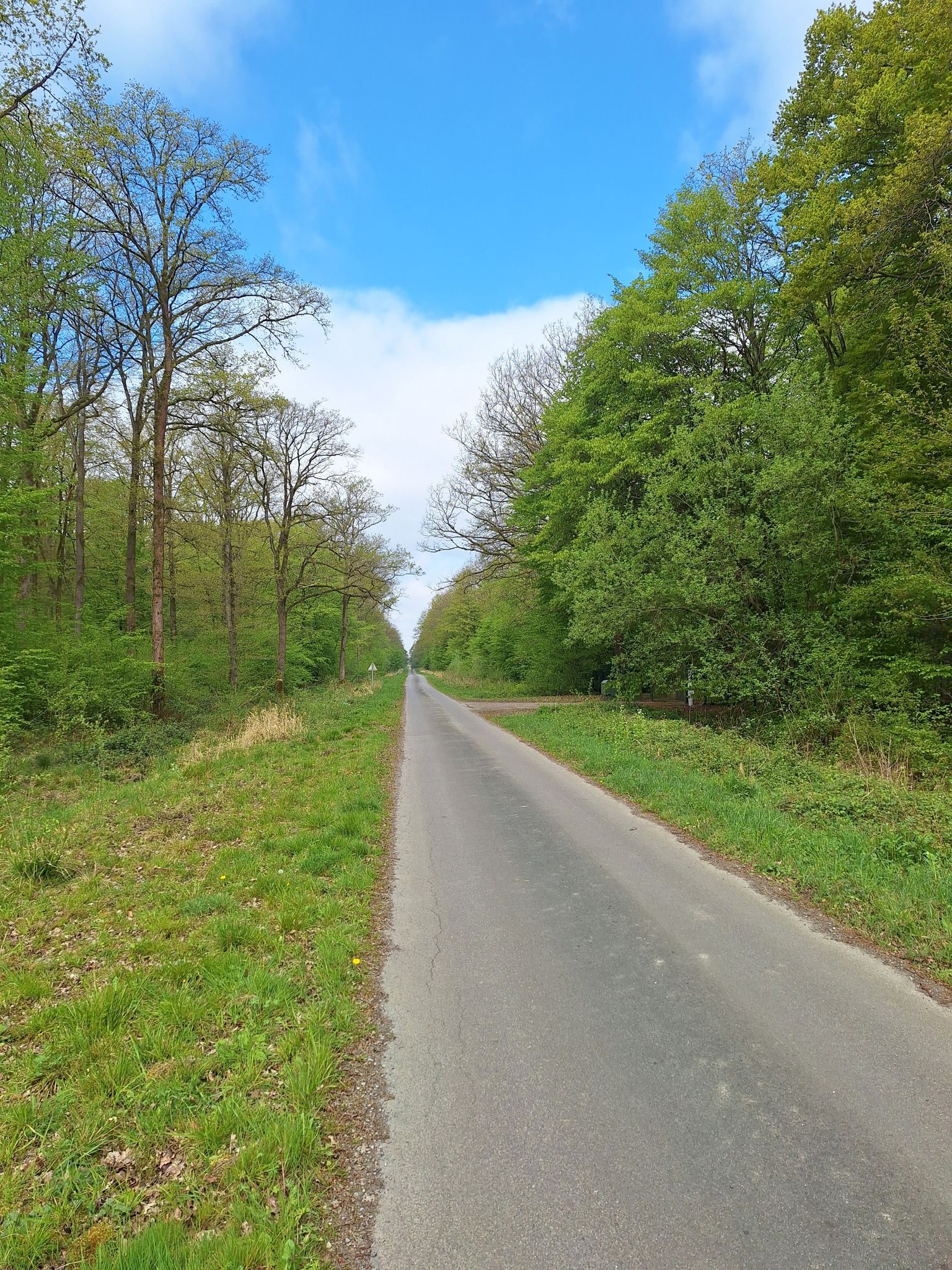 fiets en wandelpad door het Foret Domaniale de Mormal