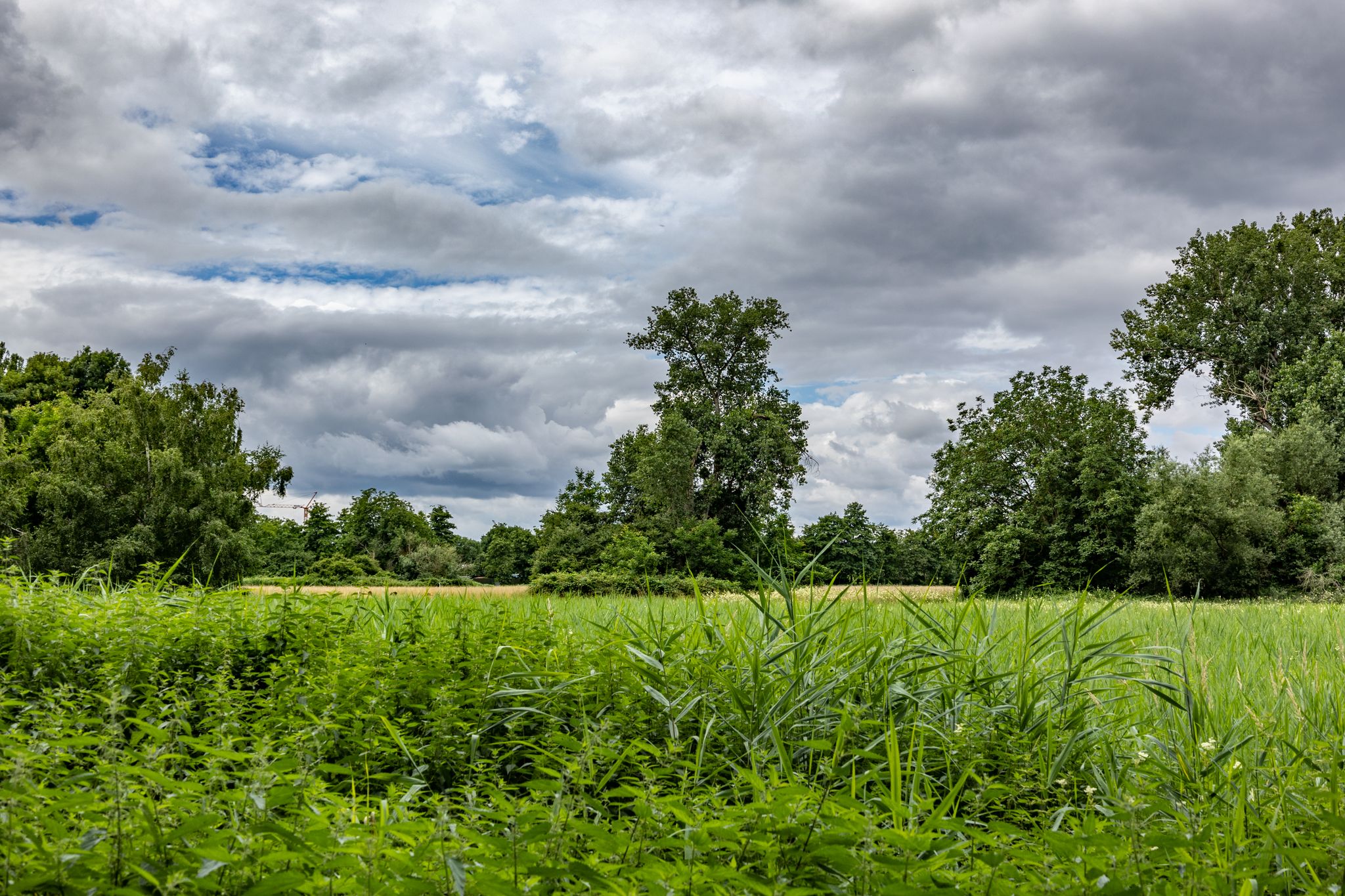 Nah an der Stadt und trotzdem in der freien Natur