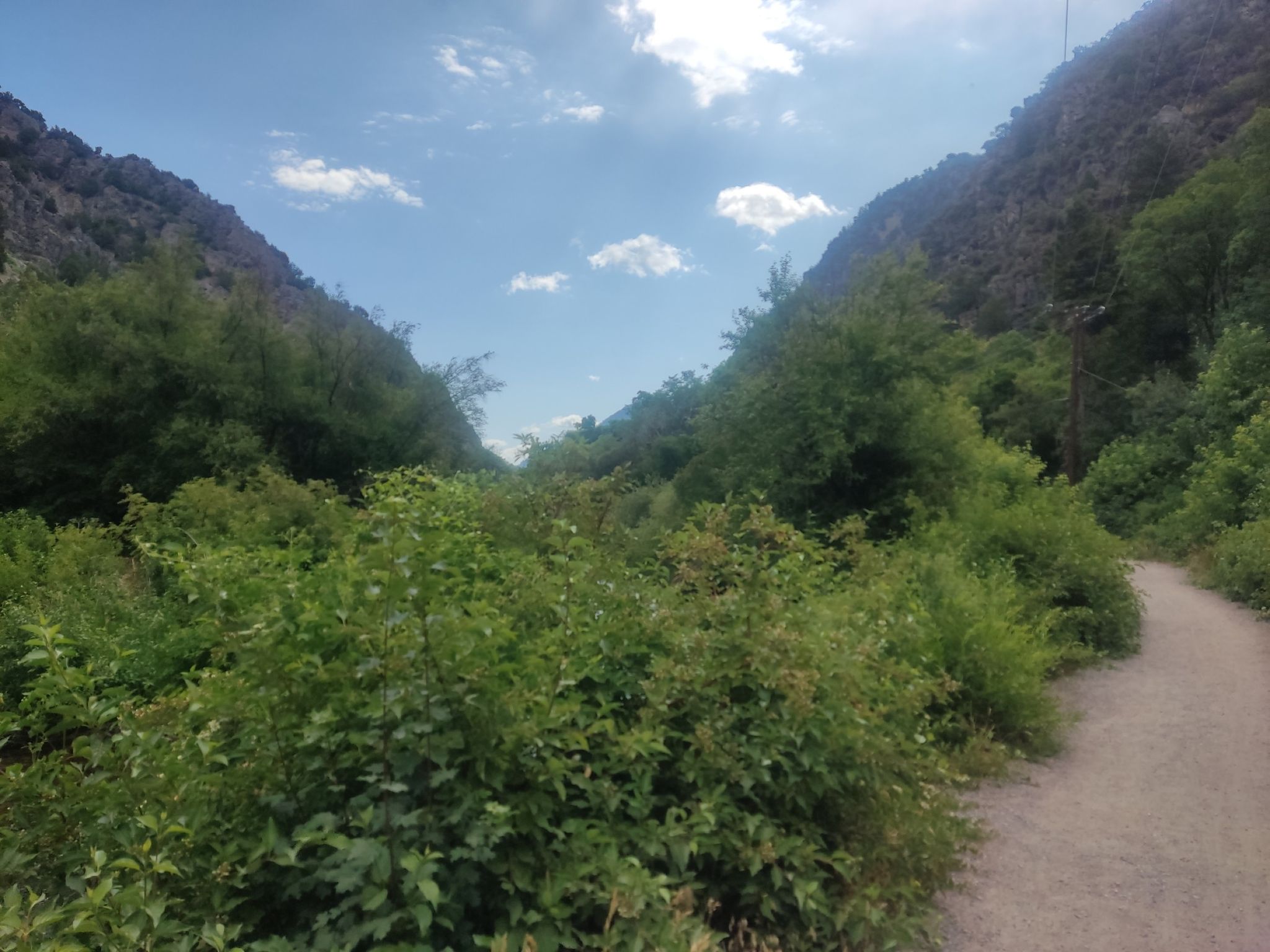 A dirt path winds through lush green bushes and rocky mountains under a bright sky. - River Trail – River Trail loop from Logan