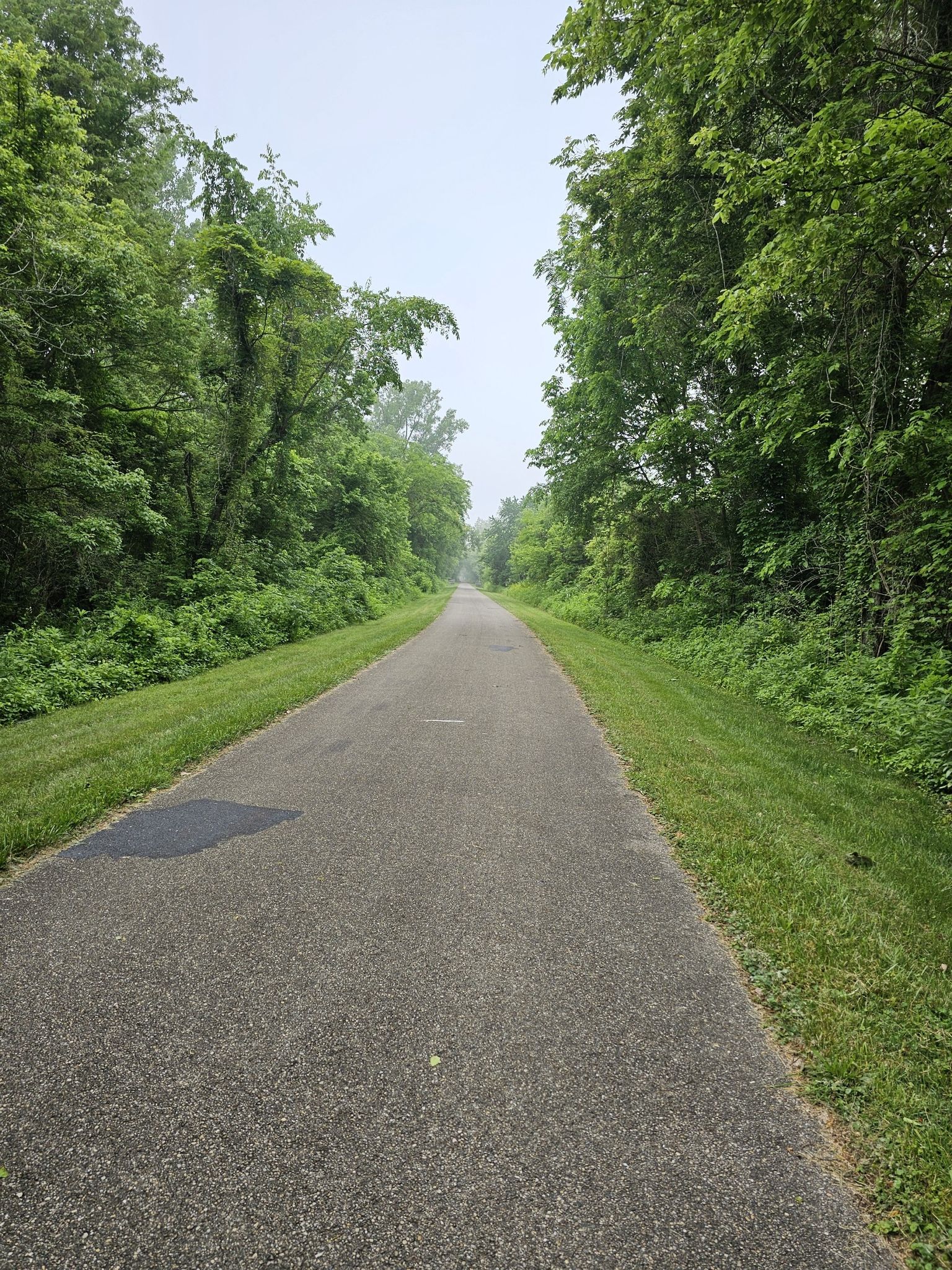 Paved path through a dense green forest on a hazy day. - Xenia Station – Historic Jamestown loop from New Beginnings Baptist Church