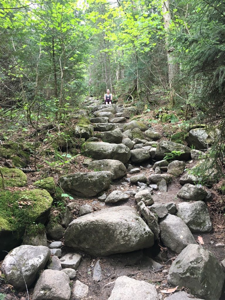 A person sits on a steep, rocky forest trail under dappled light. - Galehead Mountain via Gale River Trail
