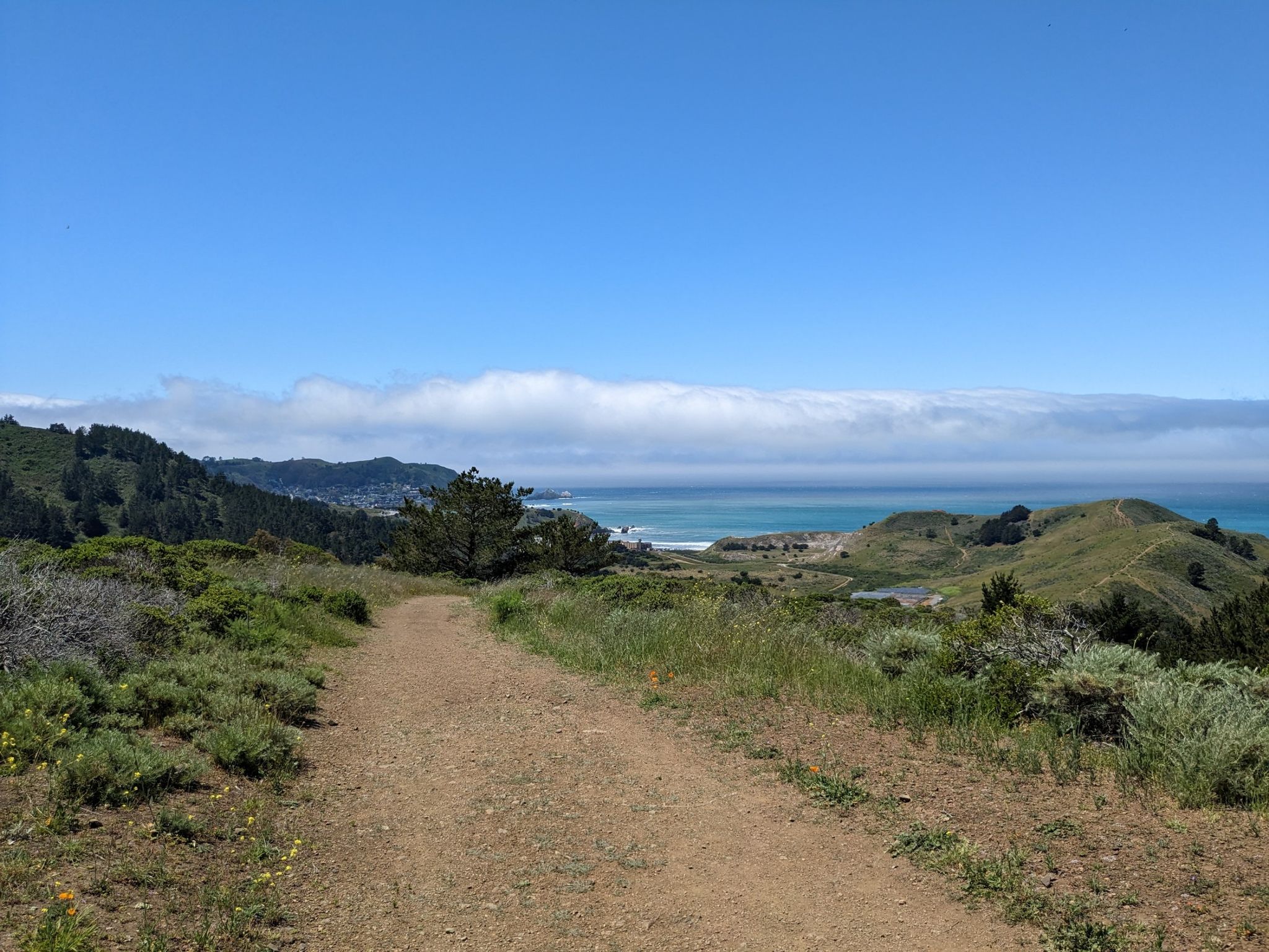 Dirt path overlooking distant ocean and green hills under a bright sky. - Mori Ridge Trail