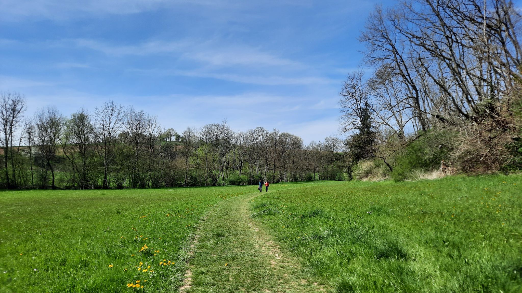 Wiesenwege im Buchenbachtal