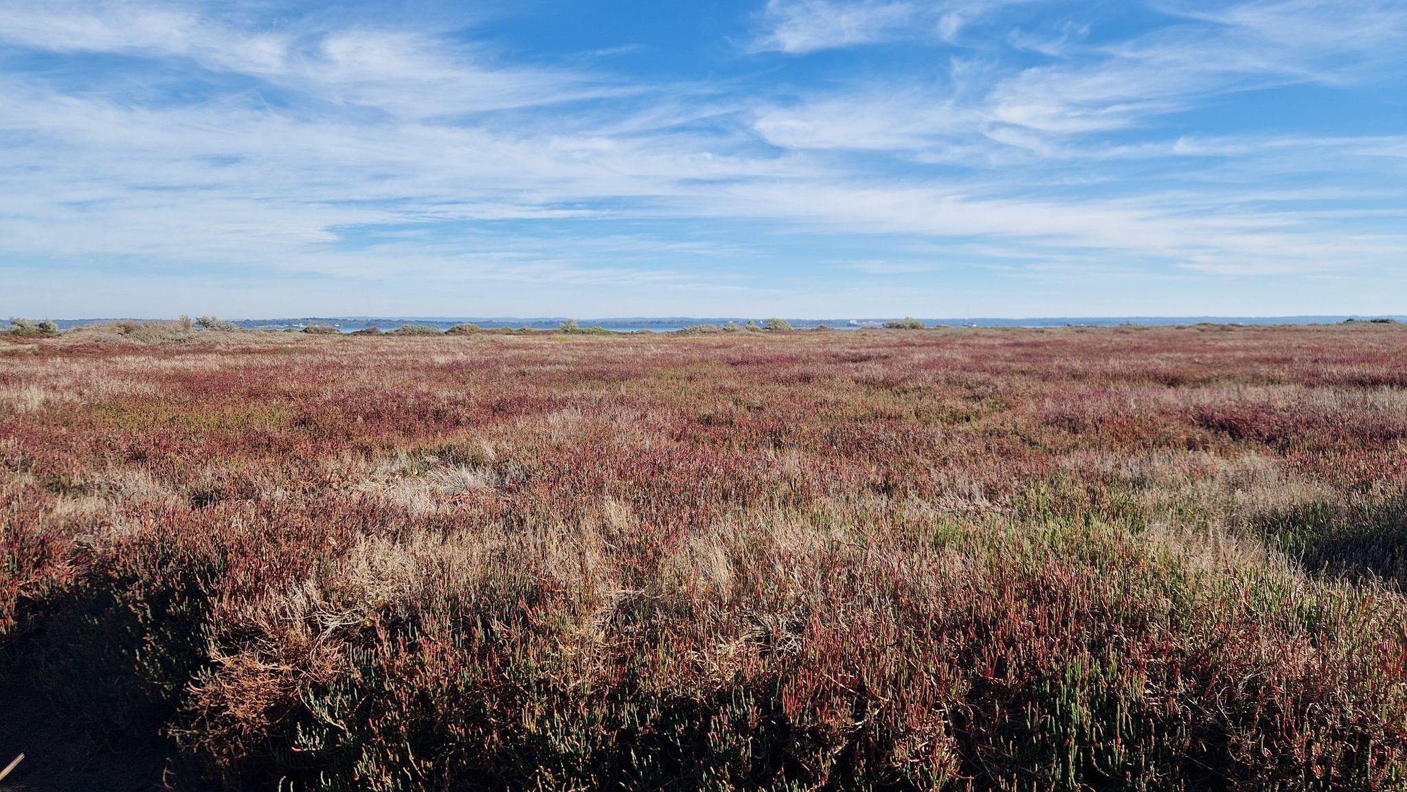 Bird Reserve