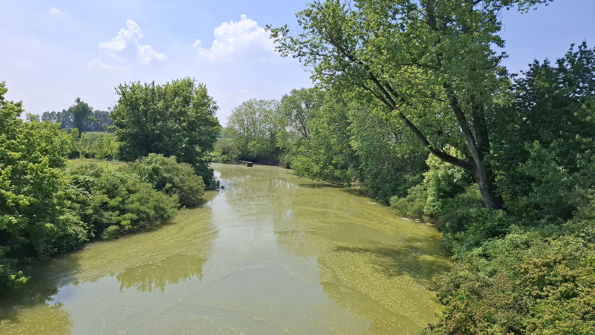 Bel canale lungo il Po nella zona di Caorso.