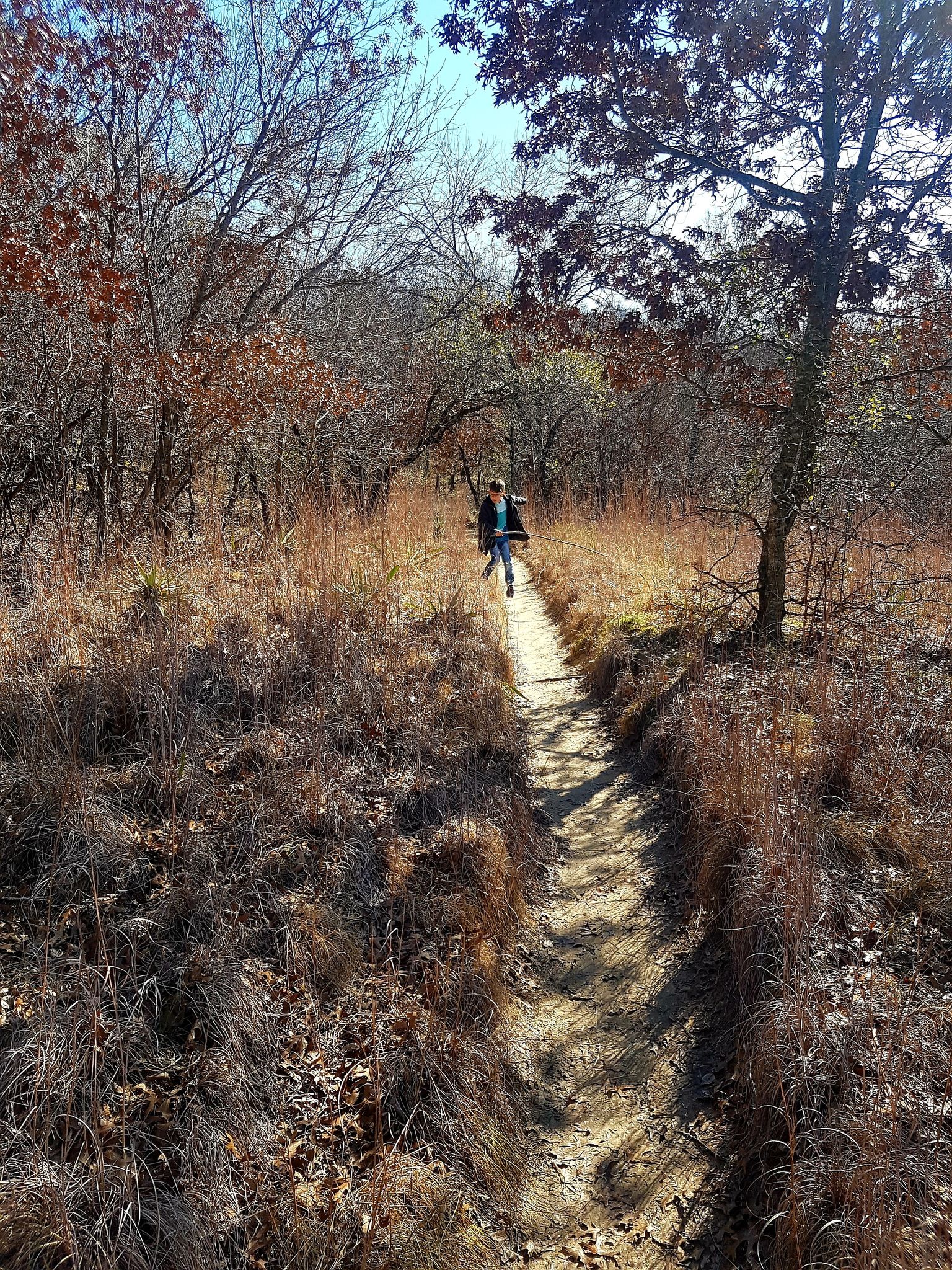 Person walks on a narrow sunlit dirt path through dry grassy woods. - Riverbottom, Caprock, Prairie and Wild Plum Trail Loop