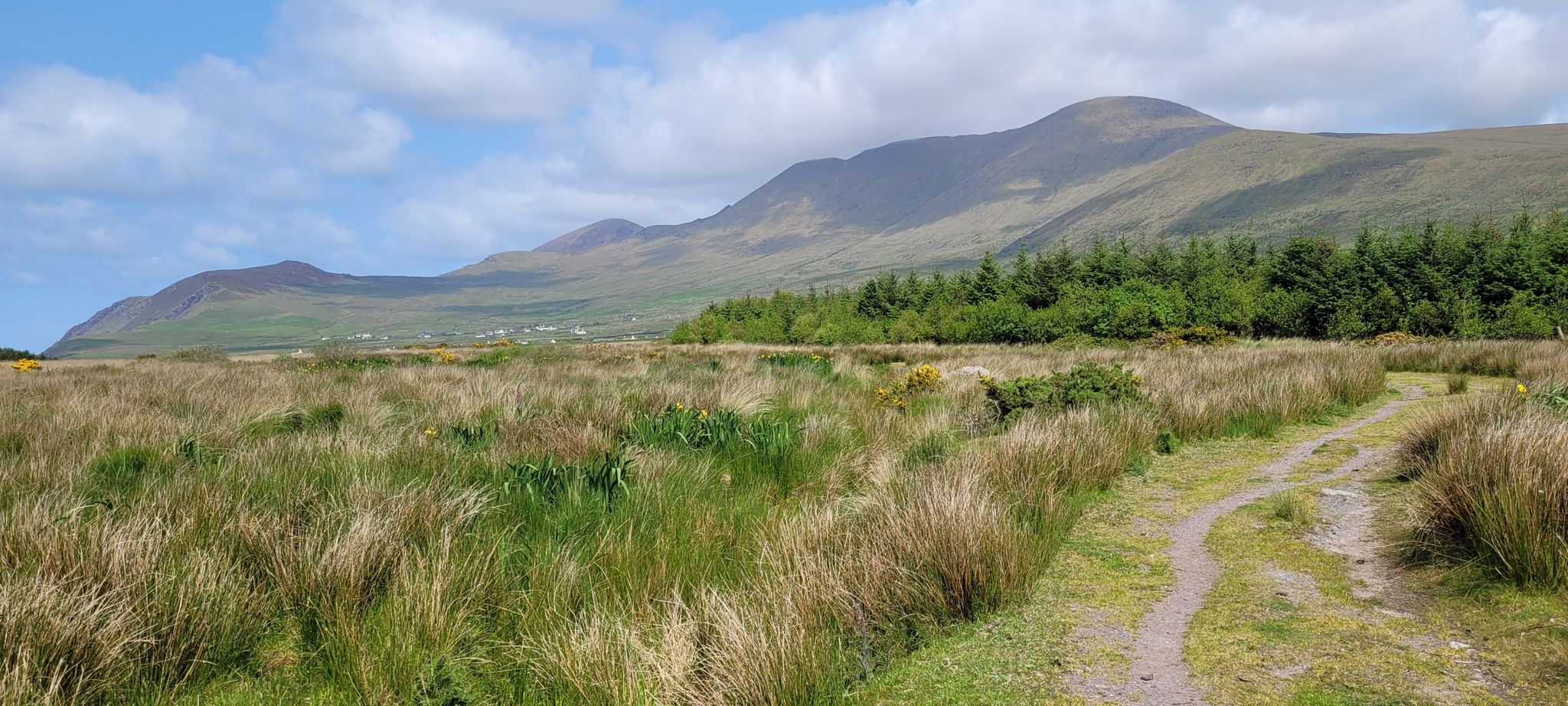 Mount Brandon