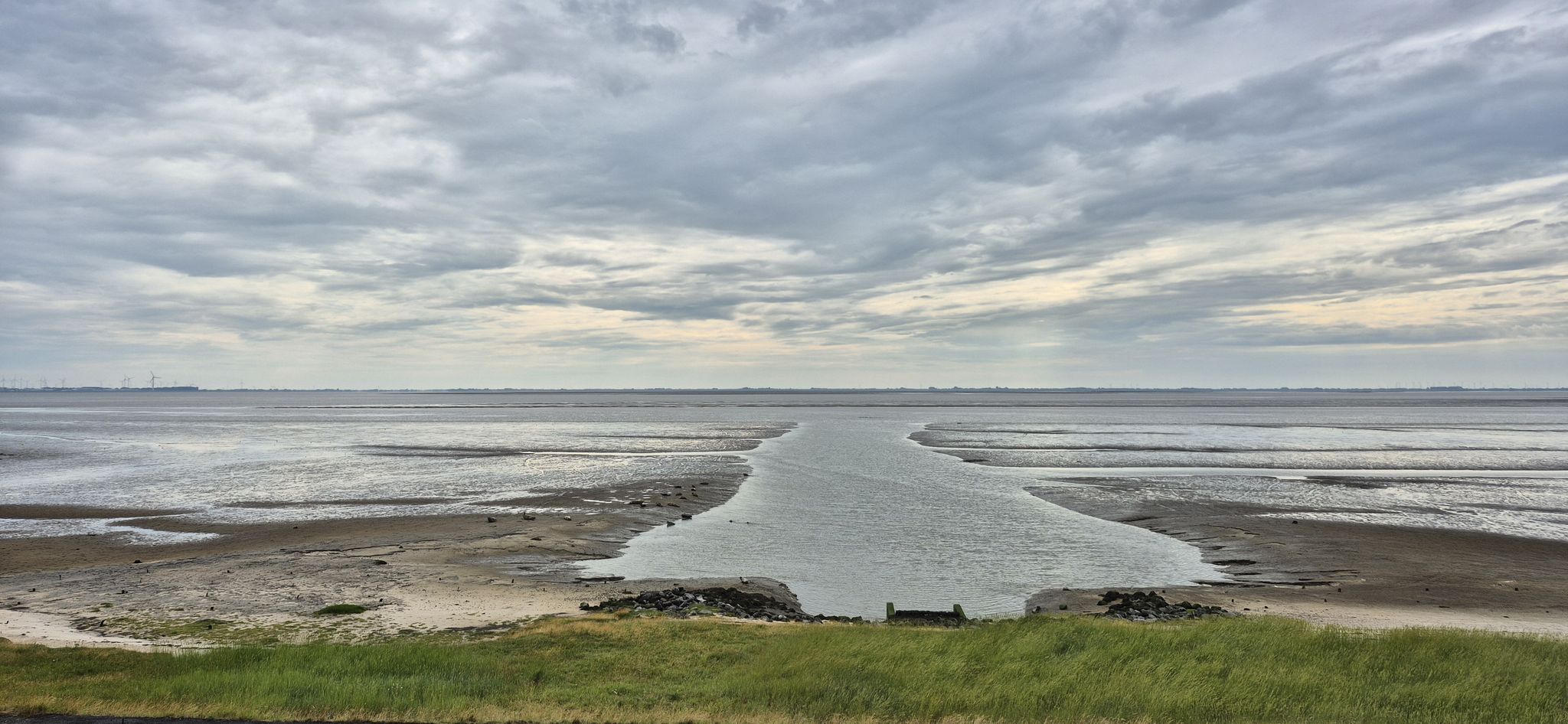 Seehunde im Groote Gat