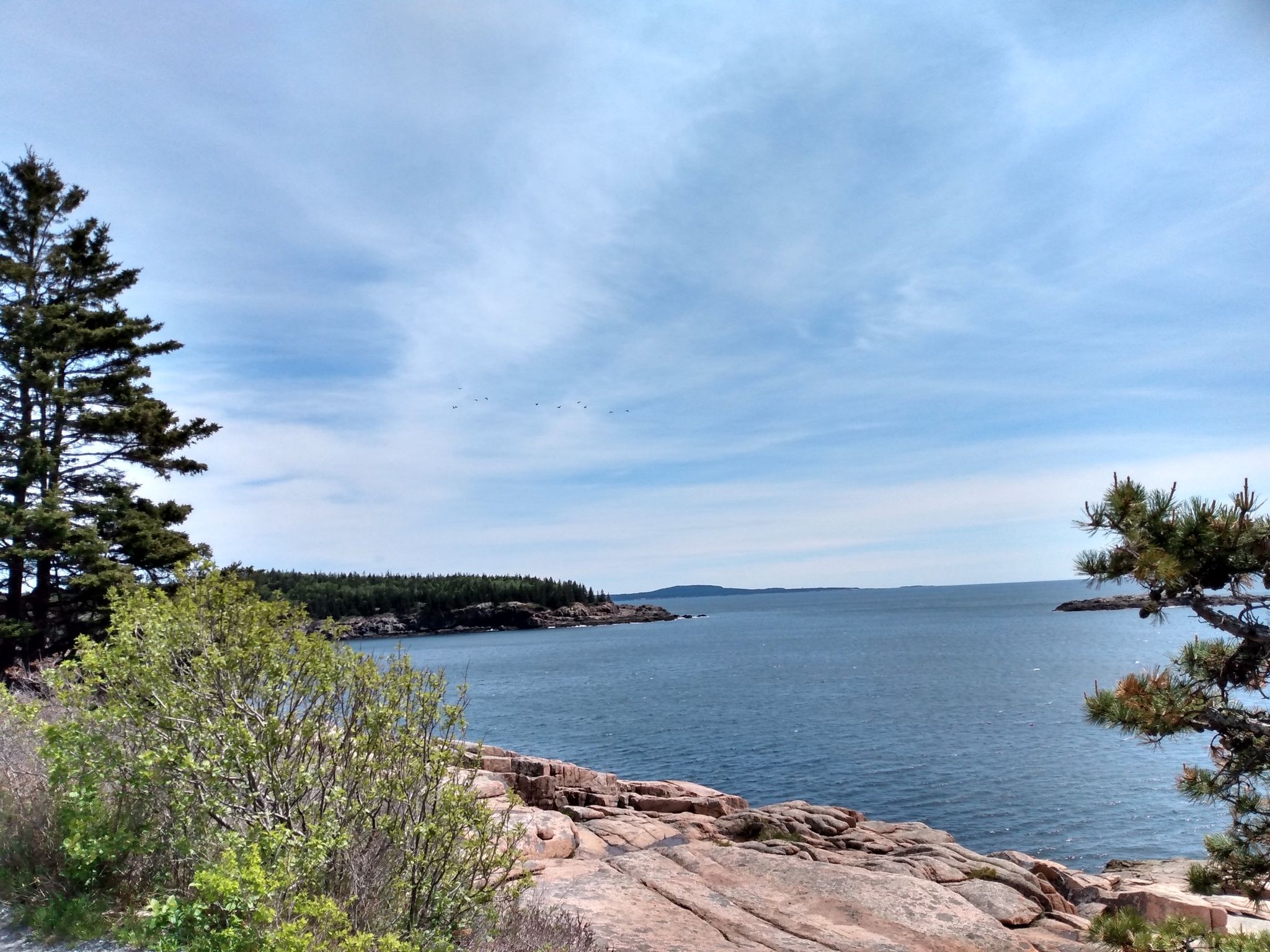 Rocky coastline with evergreen trees and a vast ocean under a partly cloudy sky. - Ocean Path