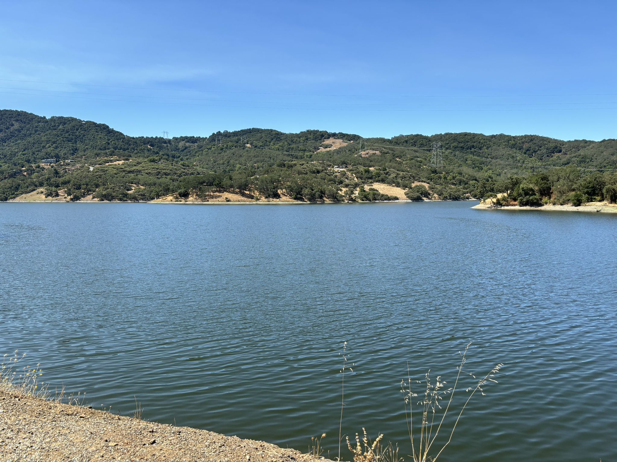 Expansive lake with green forested hills under a bright, clear blue sky. - Chesbro Reservoir County Park – View of Chesbro Reservoir loop from Gilroy
