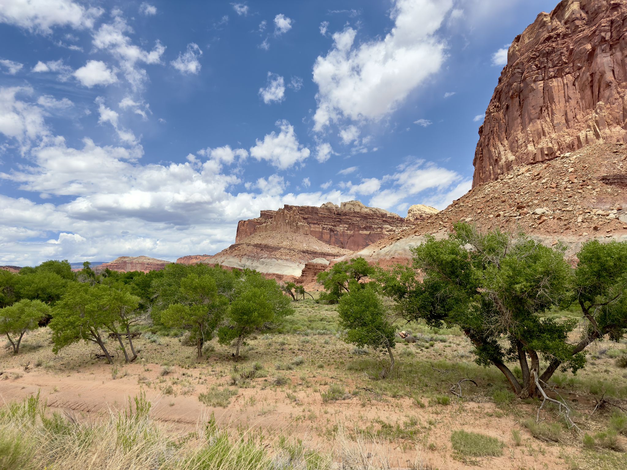 Red rock cliffs, green trees, and desert landscape under a cloudy sky. - Multi-Use Trail