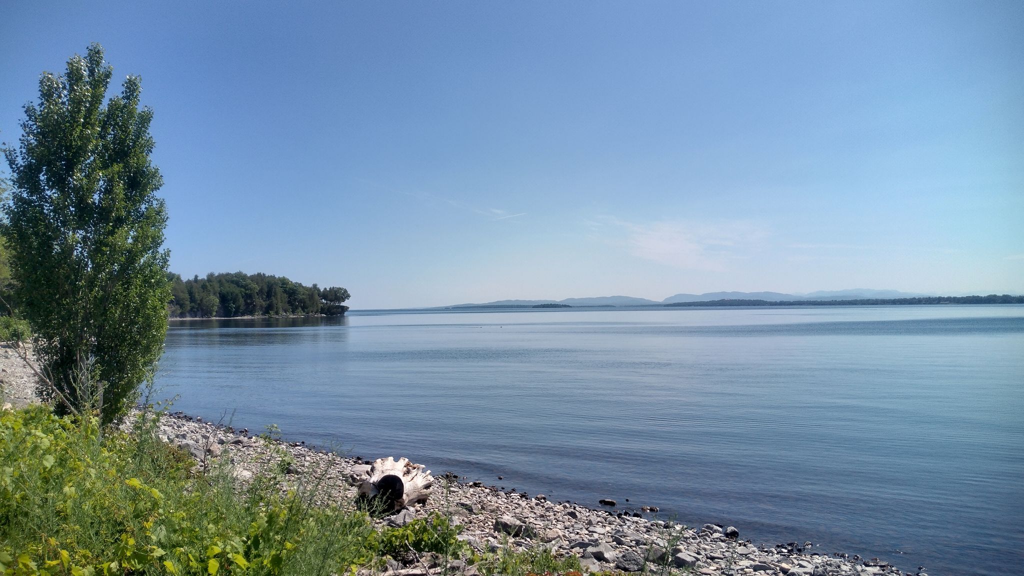 Bright day over a wide lake with a rocky shore and distant mountains. - Downtown Plattsburg – Champlain Valley Trail loop from Treadwell Bay Marina & Resort
