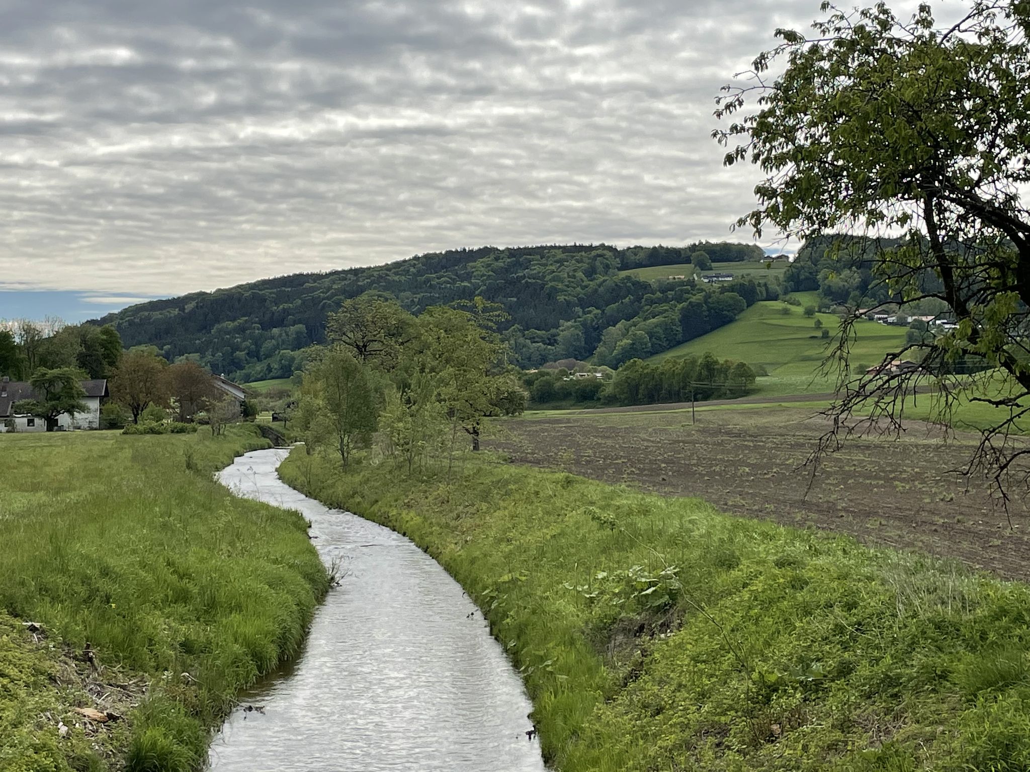 Thalkirchener Achen