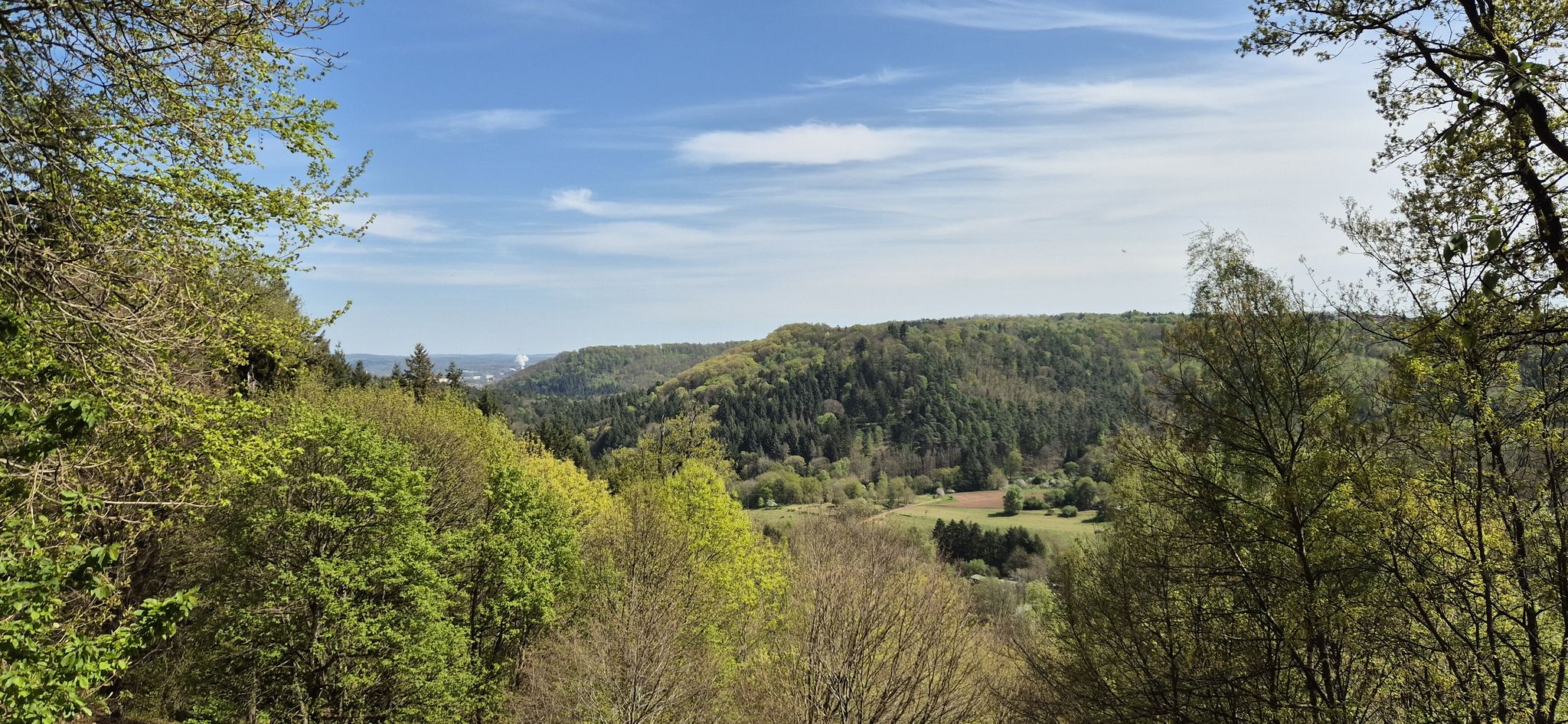 Aufstieg zum Königsberg 345m