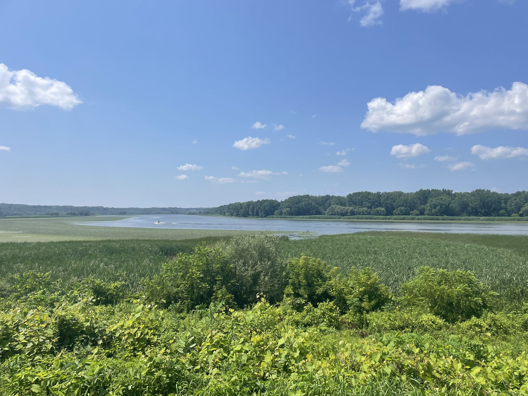 Expansive marshland and river under a blue sky with white clouds. - Corning City Preserve – Mohawk Hudson Bike Hike Trail loop from Verdoy