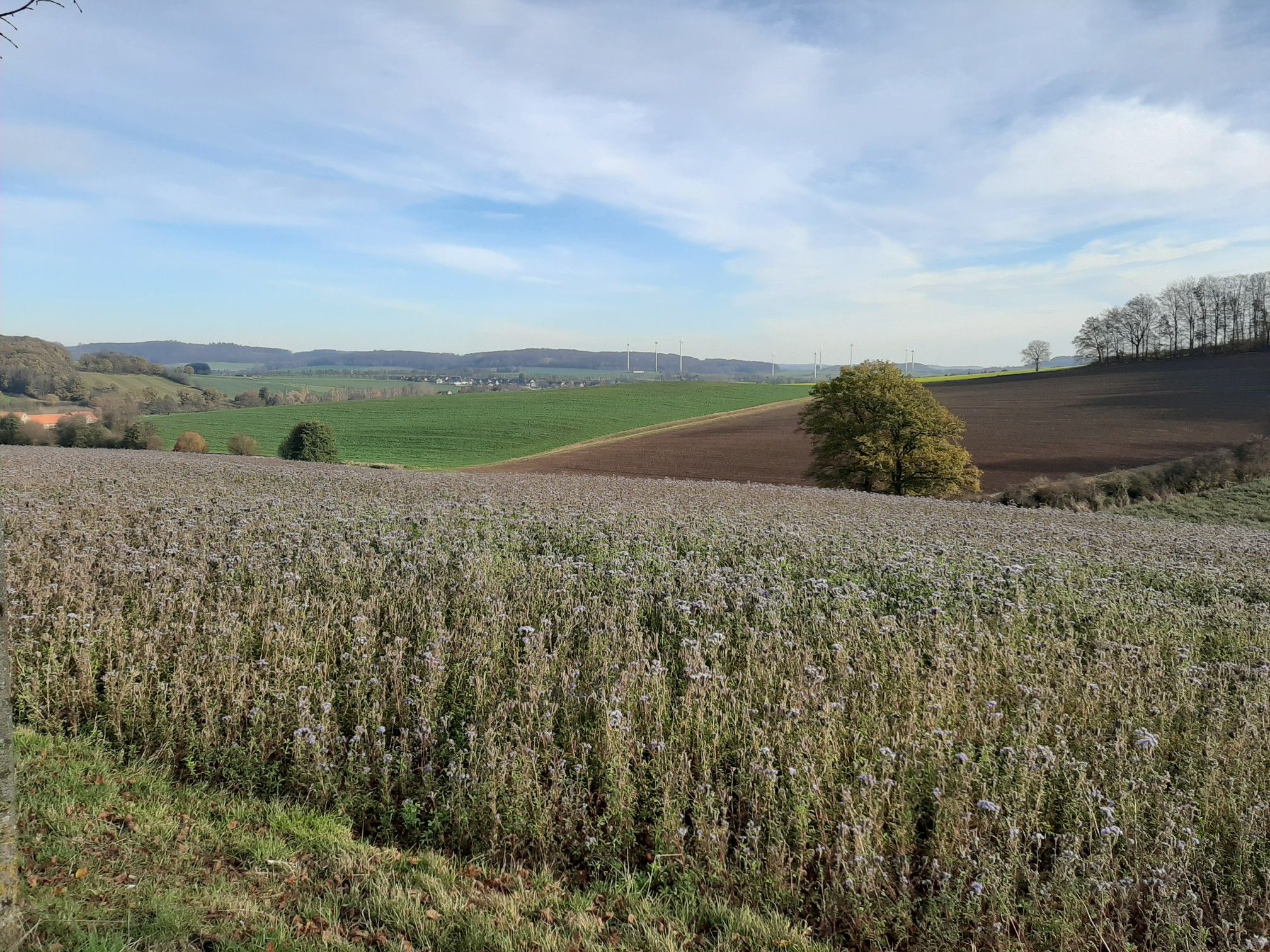 Schöne Aussicht 