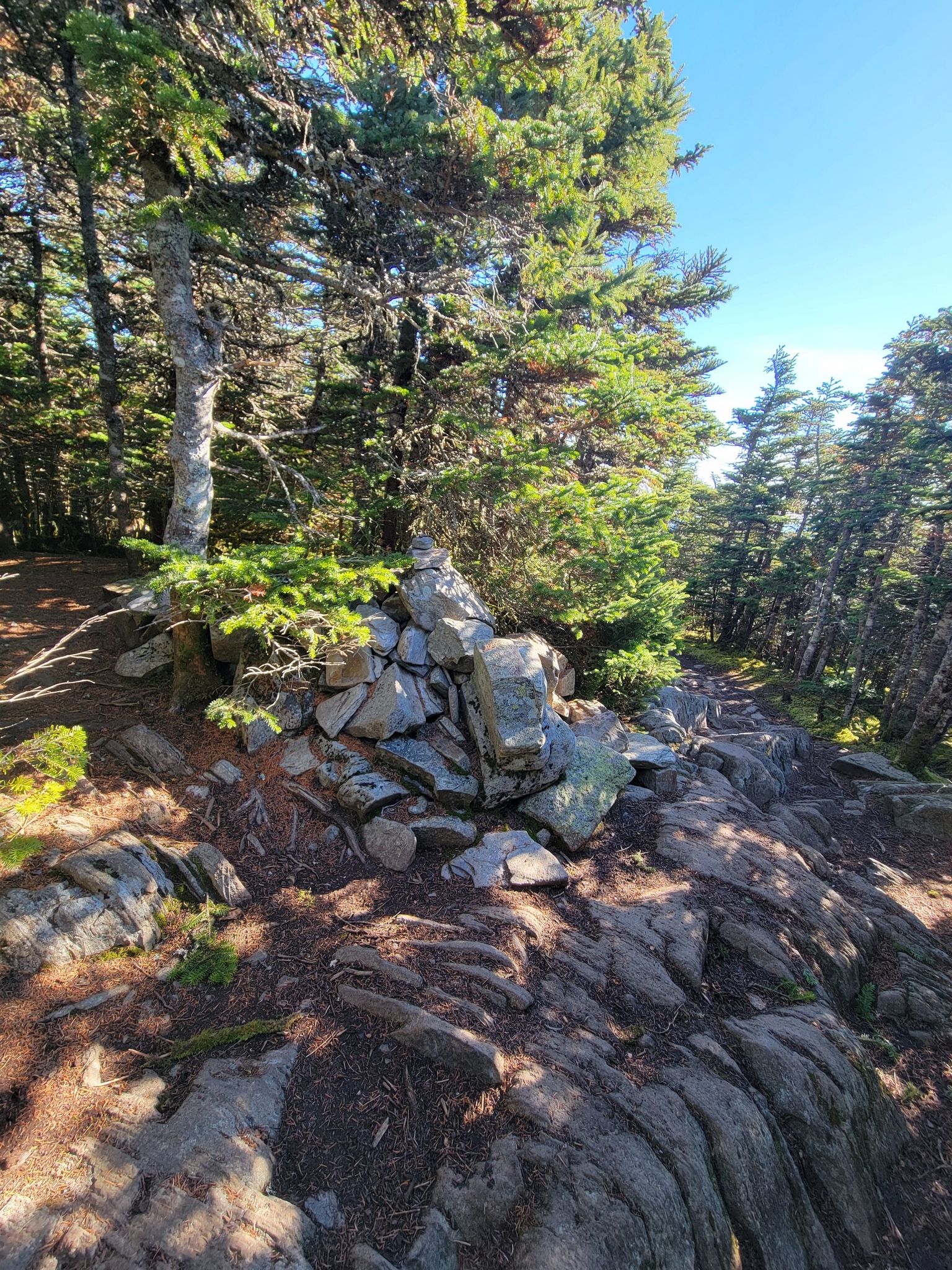 A rock cairn on a rocky, forested path under bright sunlight. - Mount Tom, Field, Willey, and Avalon Loop