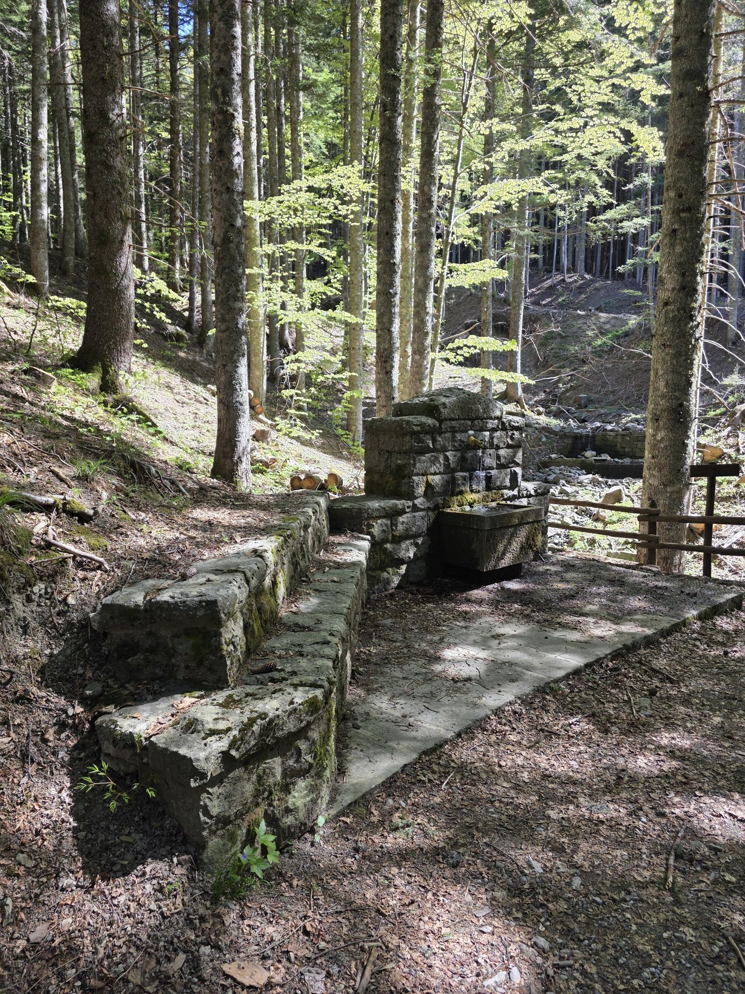 fontana