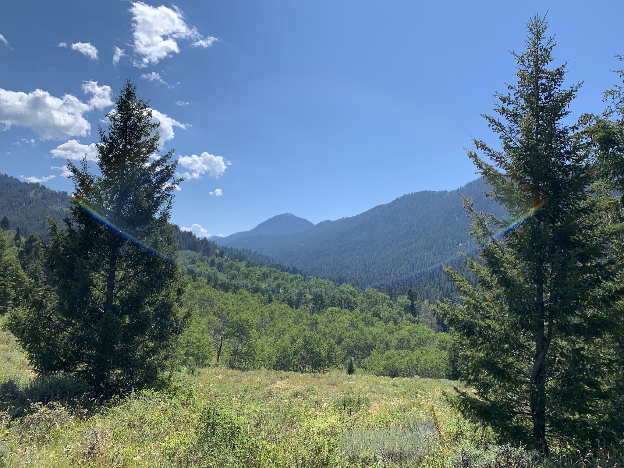 Lush green mountain valley under a bright blue sky with scattered clouds. - Cache Creek loop from Cache Creek Trailhead