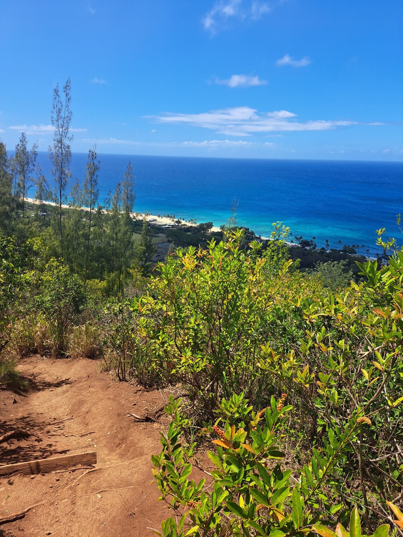 A dirt path through green foliage leads to a bright blue ocean view. - Pu'uwaihu'ena loop