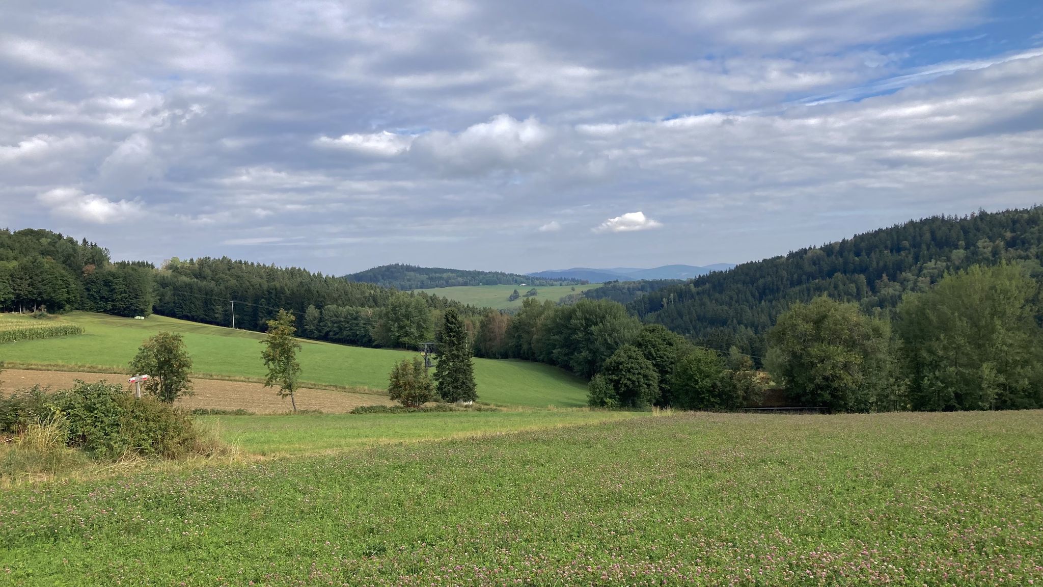 die grünen Hügel und der dunkle Tann werden heute unsere Begleiter sein