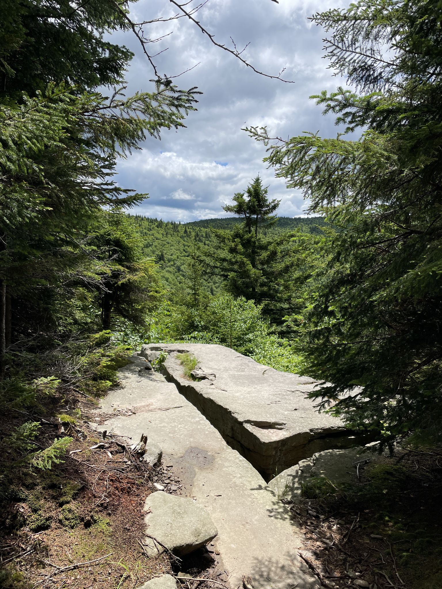 Cracked rock slab overlooks a dense green forest under a cloudy sky. - Hunter Mountain Loop