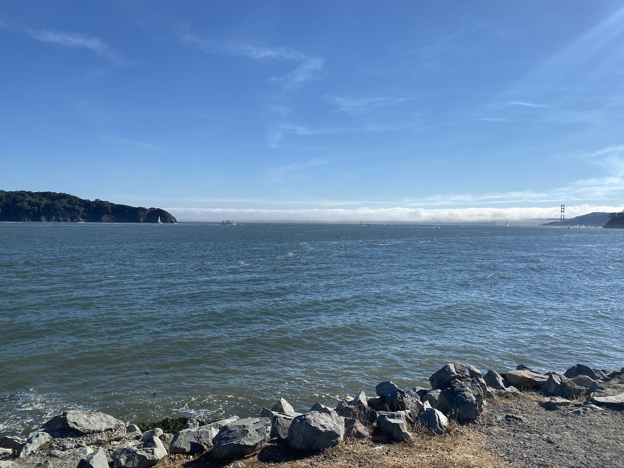 Expansive blue water with distant land and a bridge, rocky foreground, clear sky. - Paradise Beach County Park – Immigrant Point Overlook loop from Corte Madera