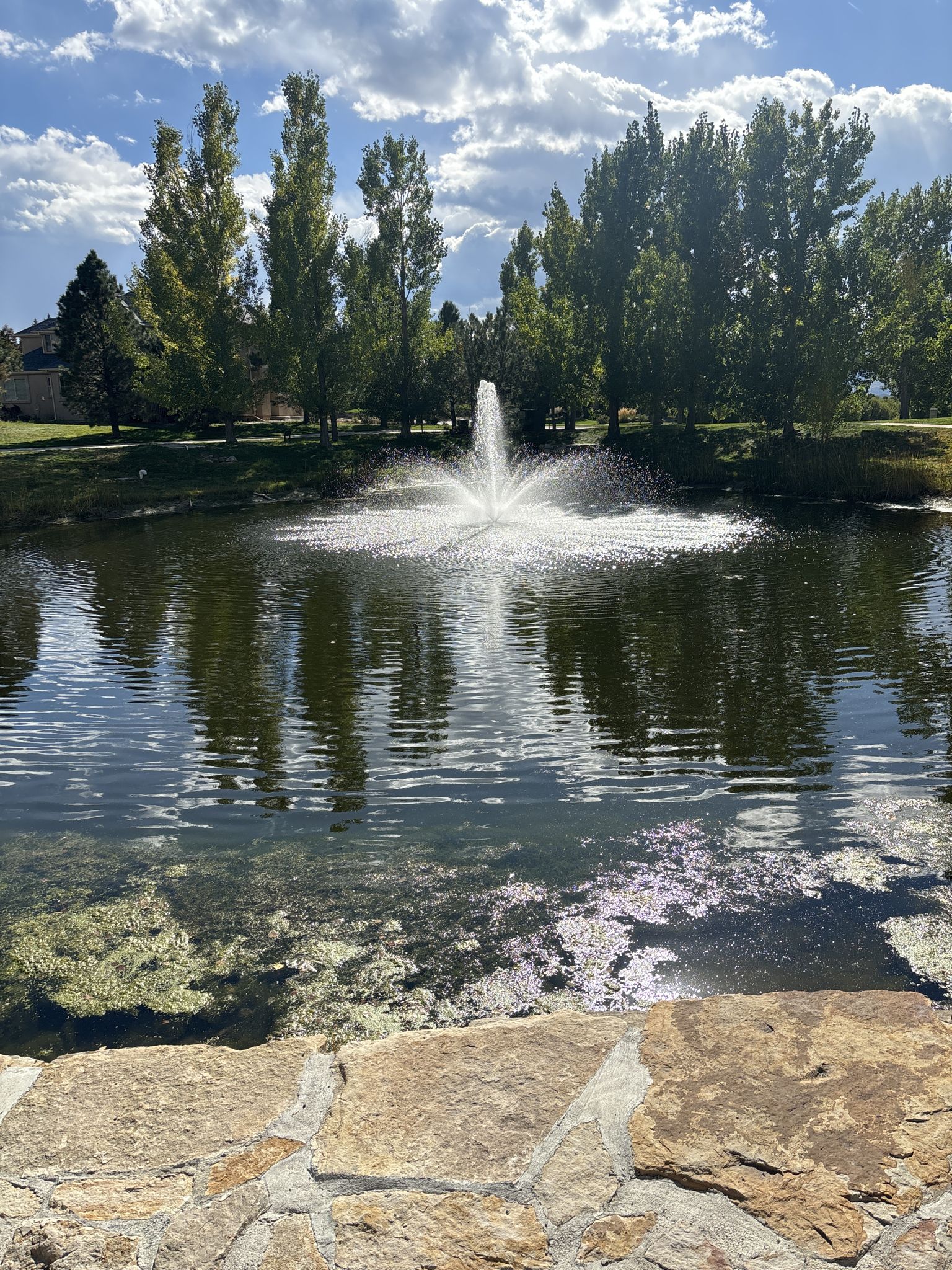 Close-up of a pond with a fountain, reflections, and stone wall in sunlight. - Hiking loop from New Life Church