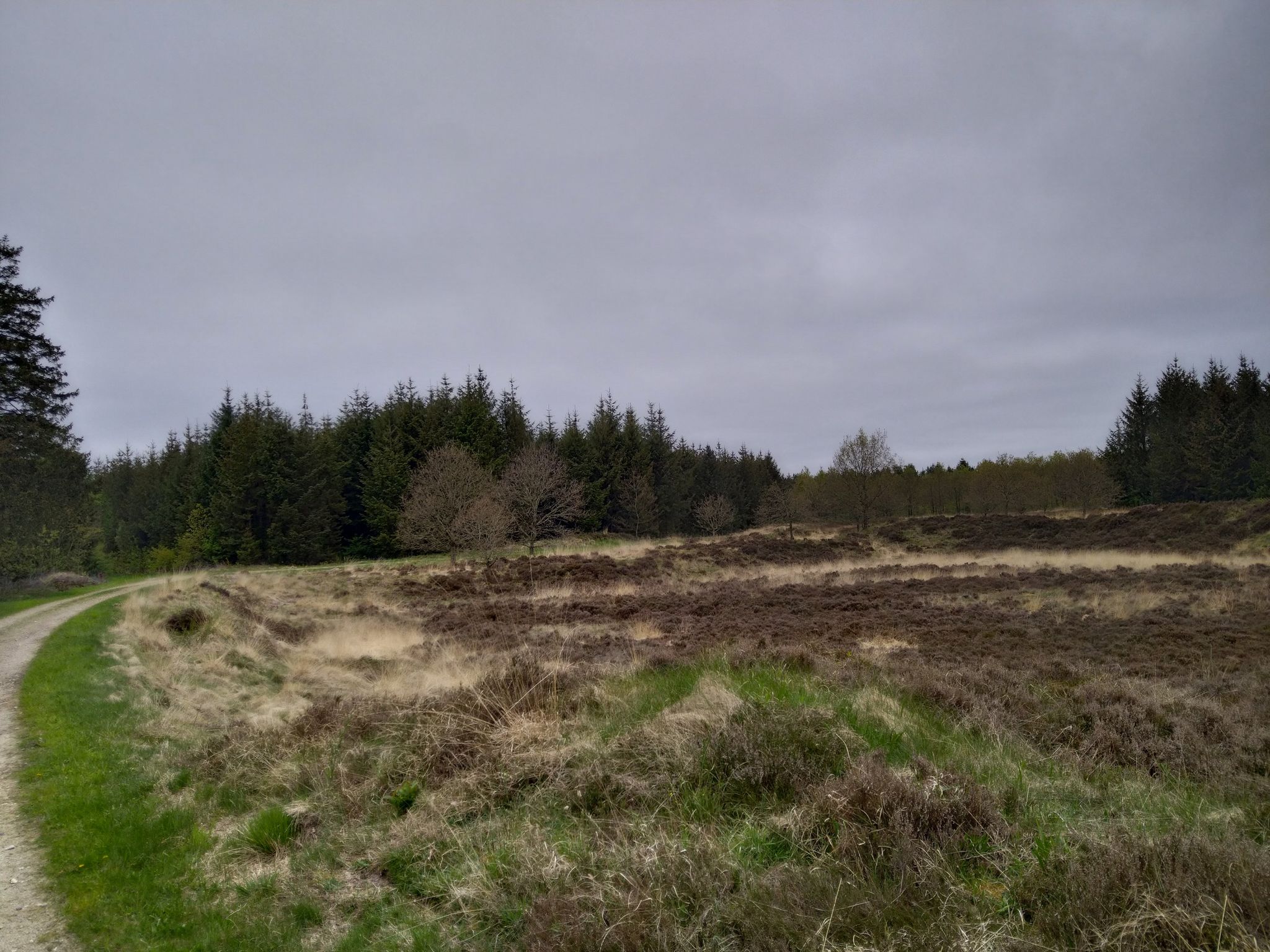 wunderschöne und gut zu befahrene Naturlandschaft