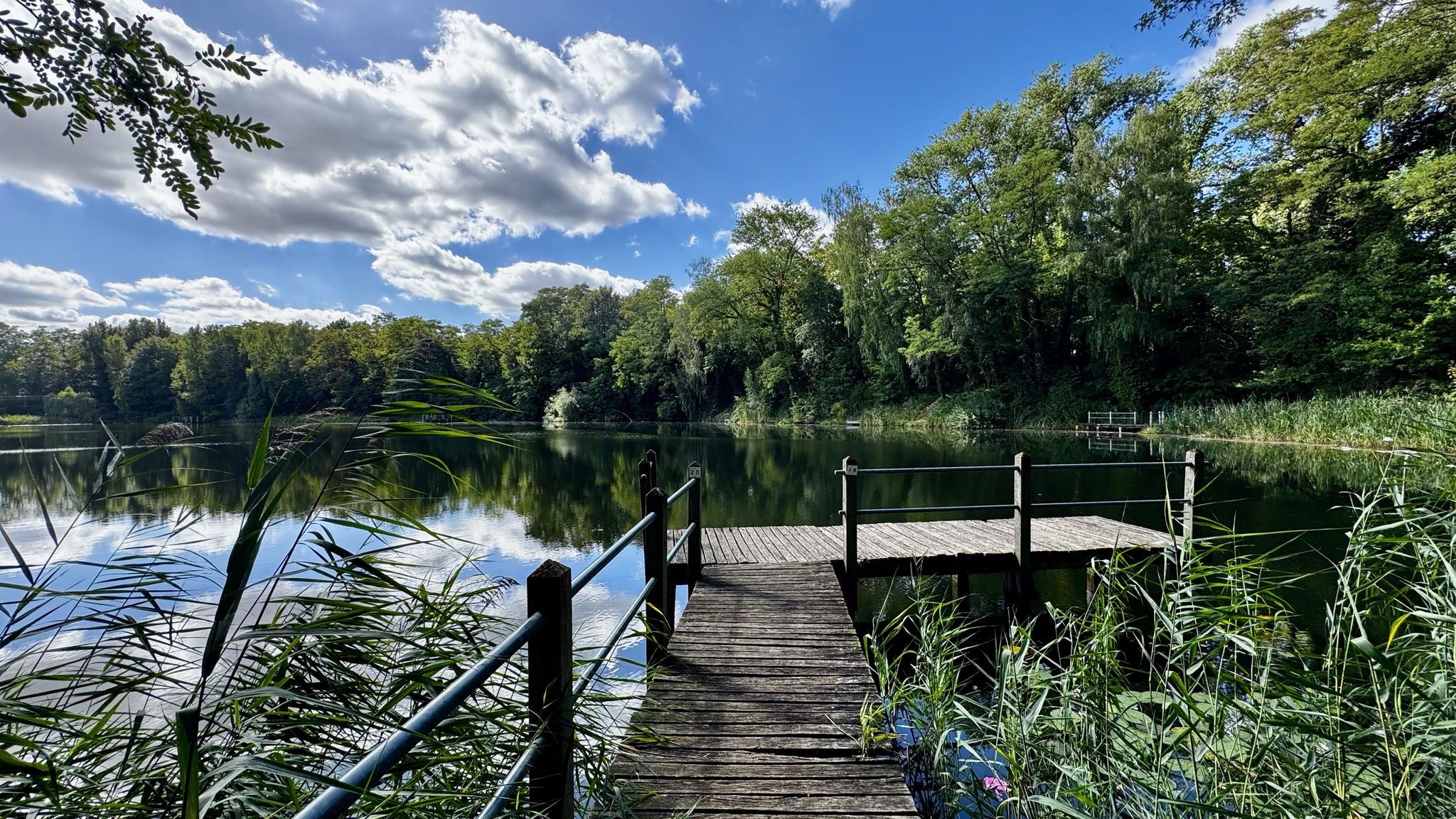 Kurparkteich