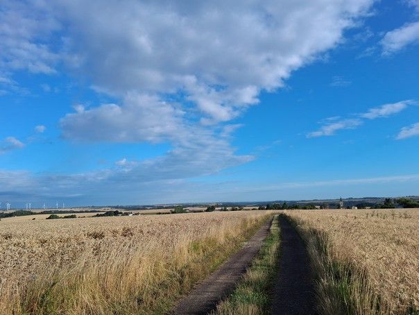 Feldweg zwischen Etzdorf und der Straße "Zur Höhe"