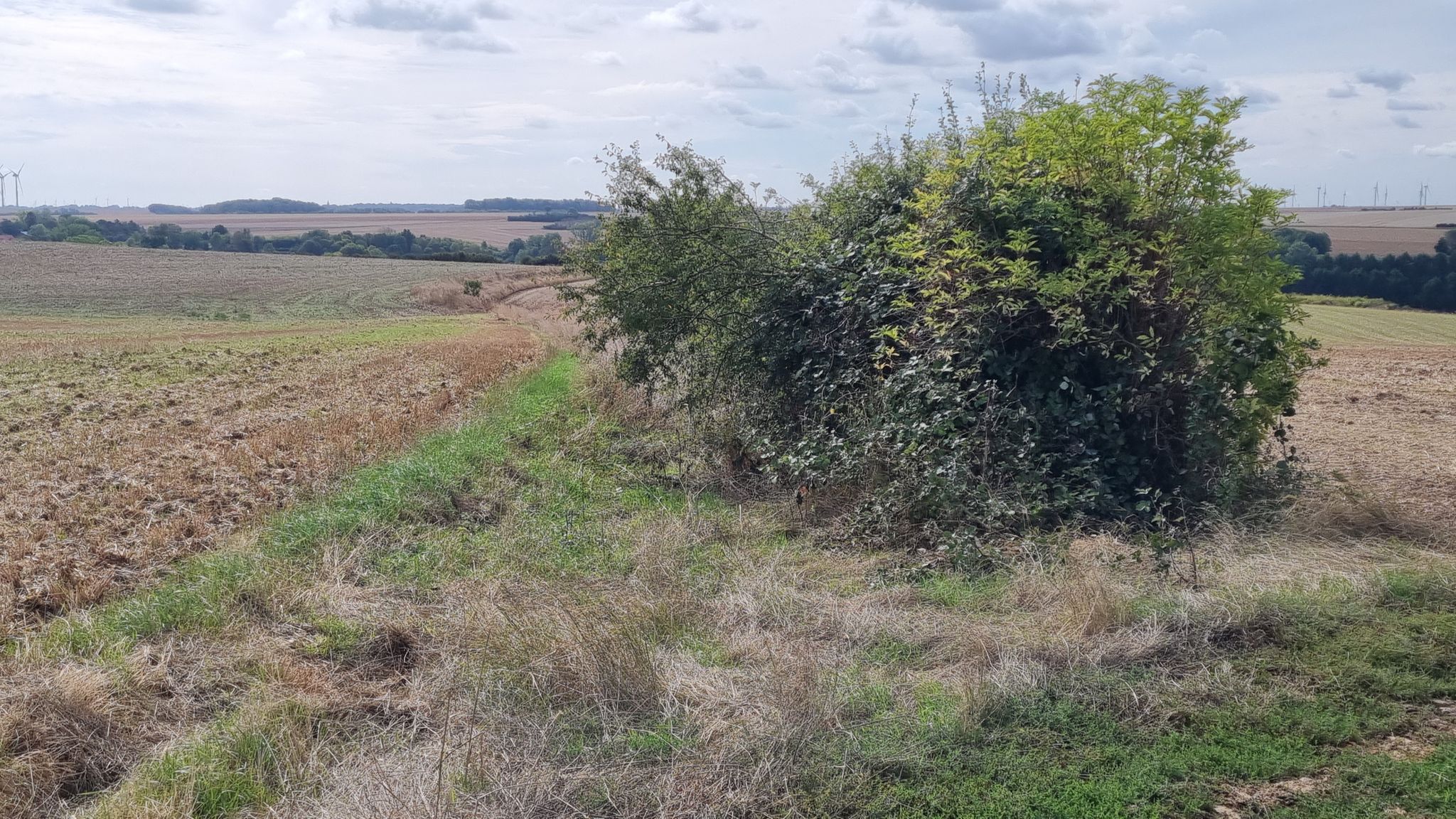 Chemin devenu impraticable : on reroute / Road has become impassable: we are rerouting