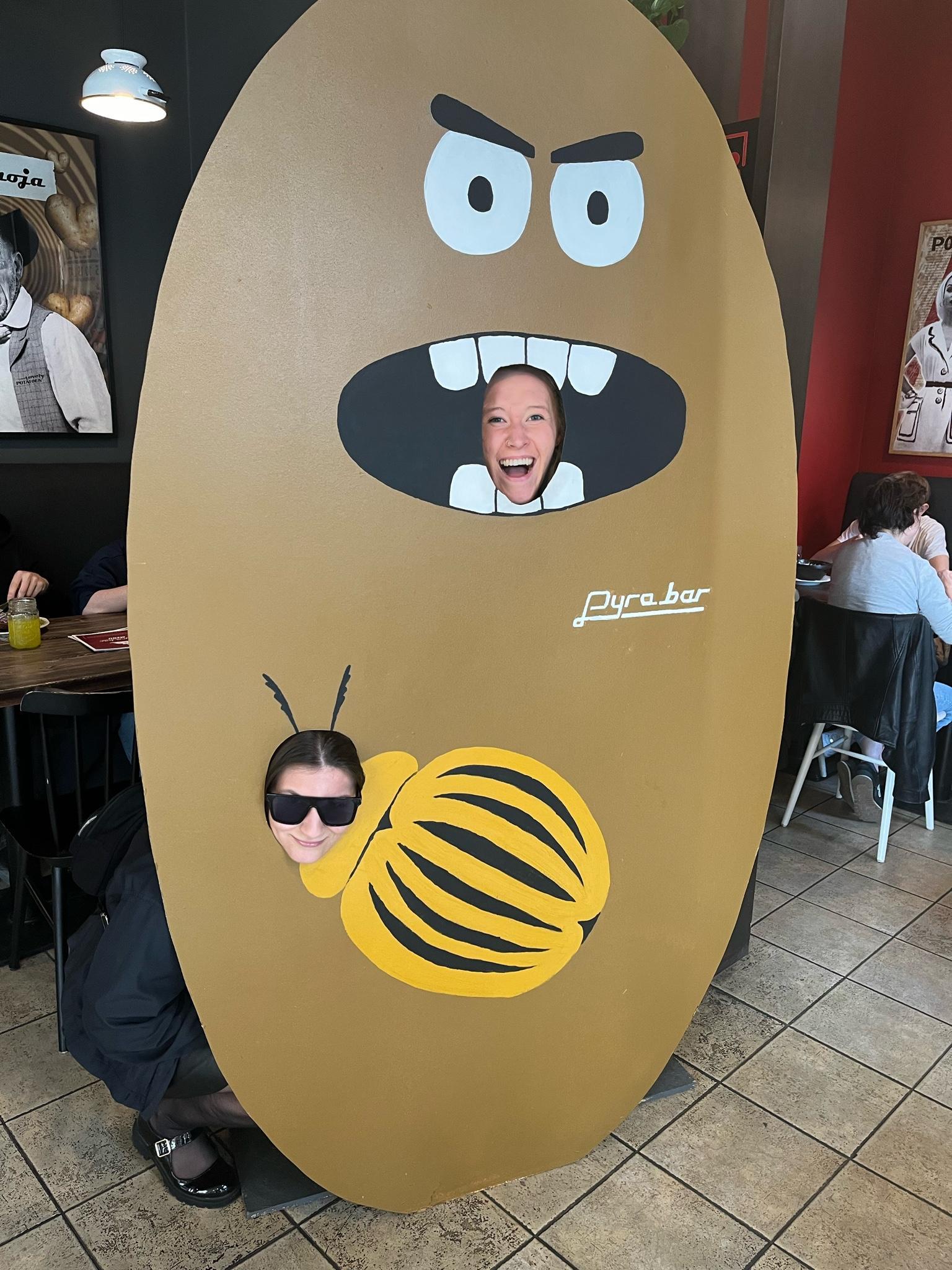user avatar