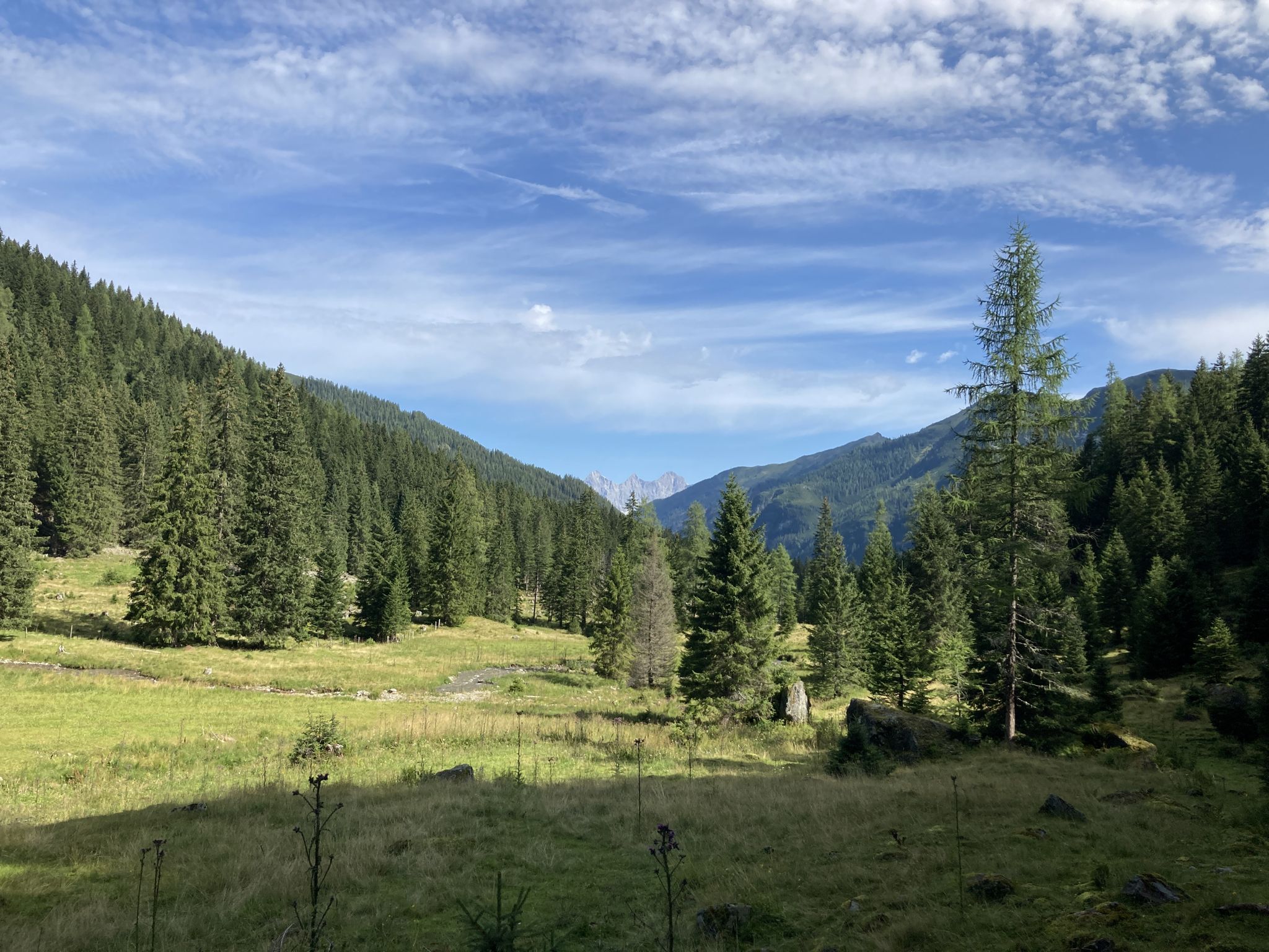 Blick zum Dachstein