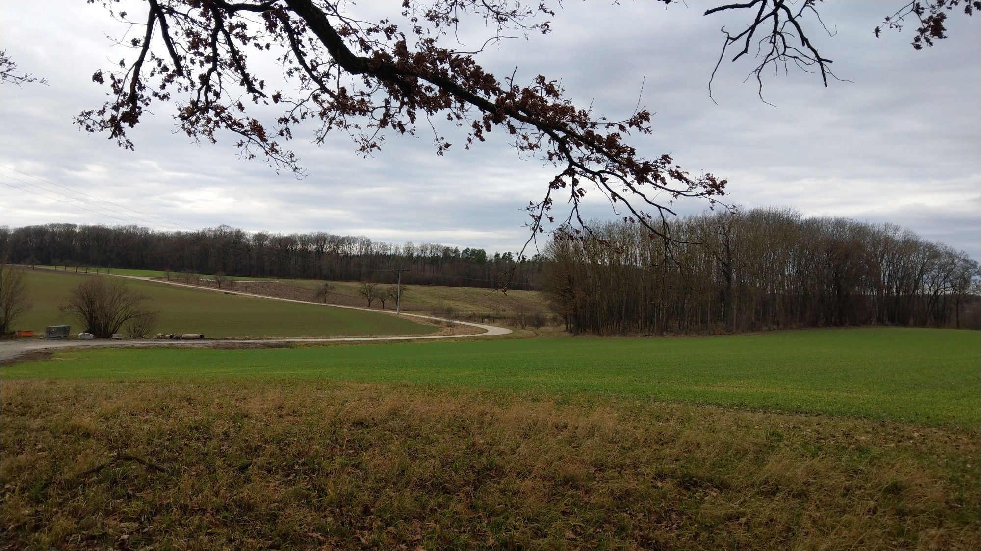 Aussicht vom Rastplatz unter der Friedenseiche
