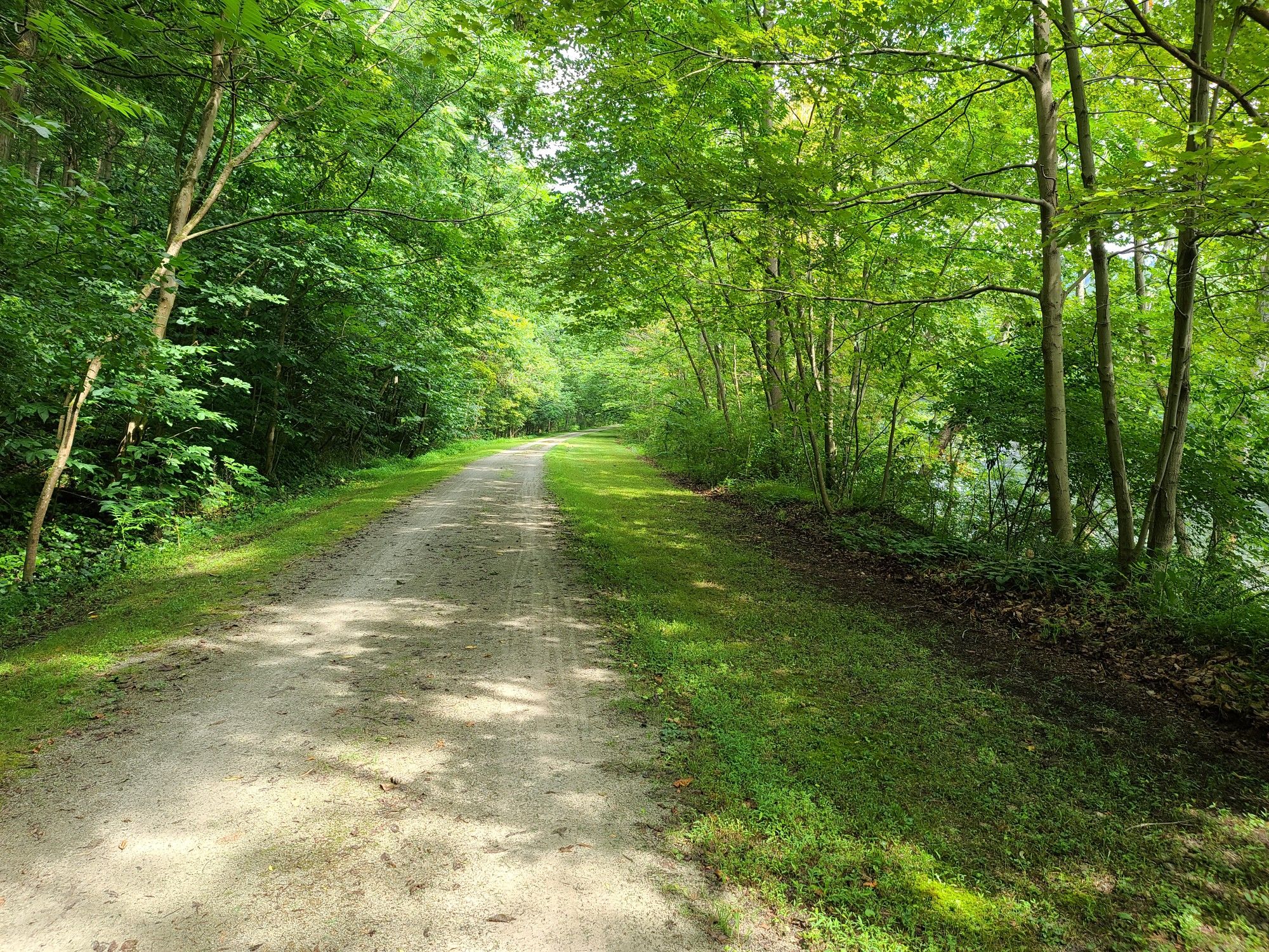 A sunlit dirt path winds through a dense, vibrant green forest. - Uniontown KOA Campground loop from West Newton