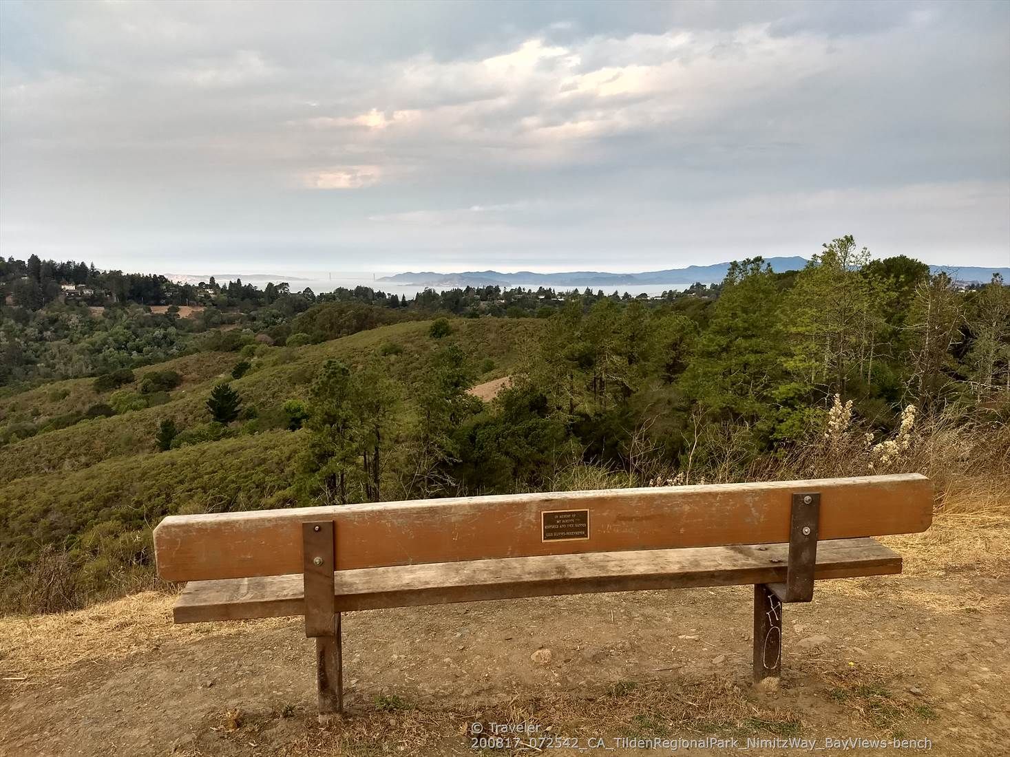Wooden bench on a hilltop overlooking a wide, cloudy landscape. - Nimitz Way – Curran Trail loop from Kensington