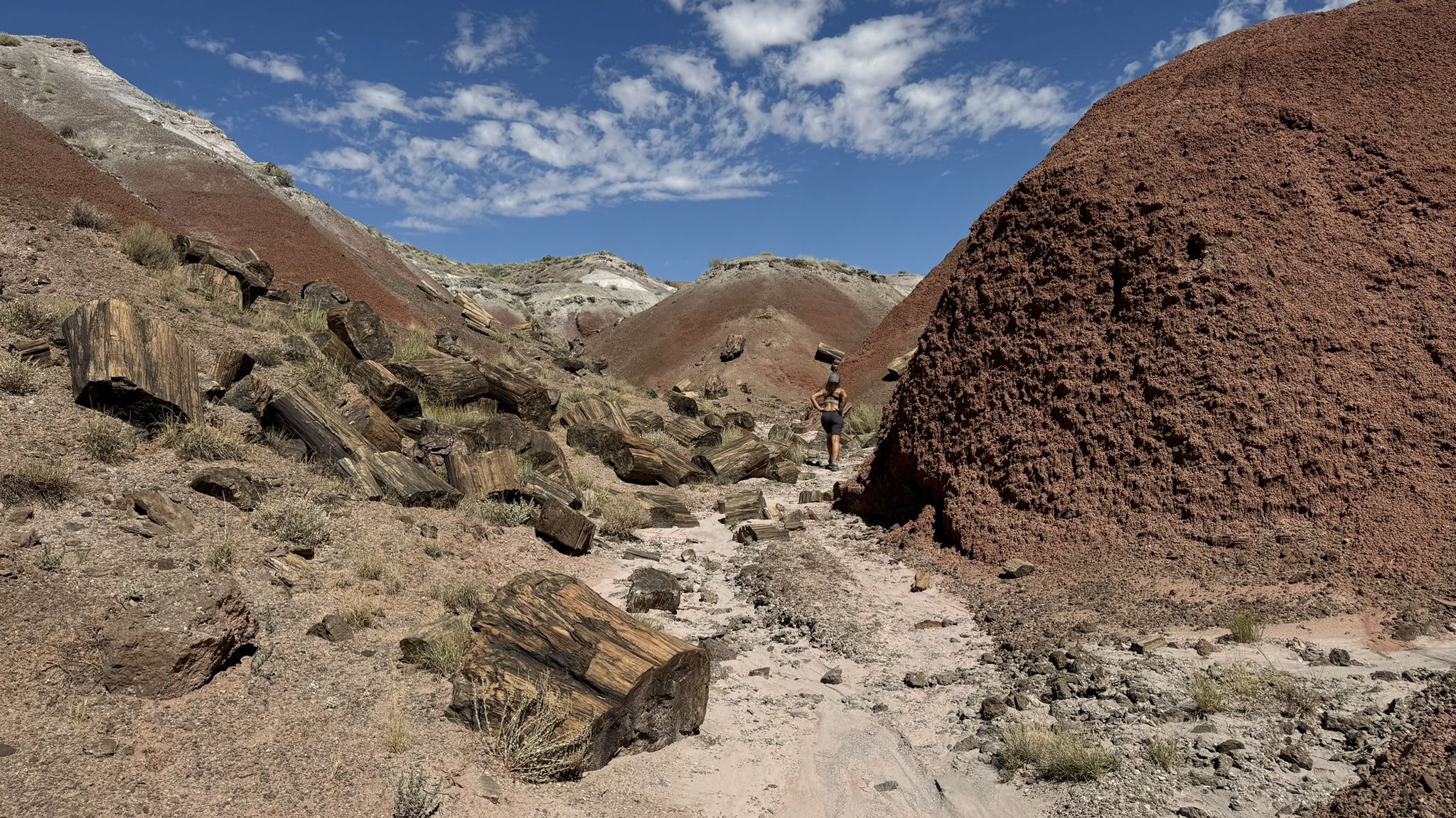Person walking among large petrified logs in a desert canyon under a blue sky. - Trail to Onyx Bridge