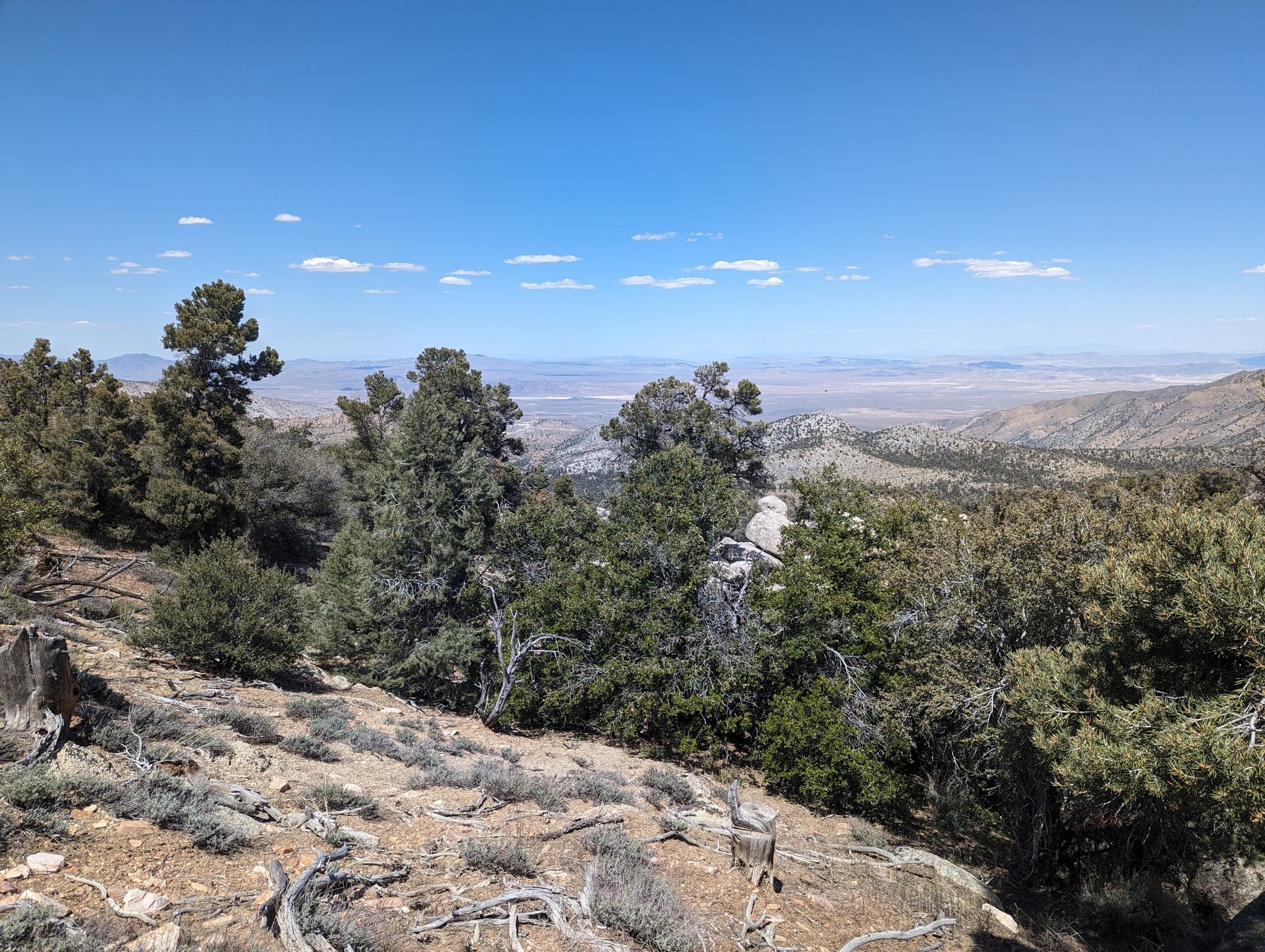 Mountain vista with trees and brush, overlooking a vast, hazy desert landscape. - Eye of God via PCT and Burns Canyon Road