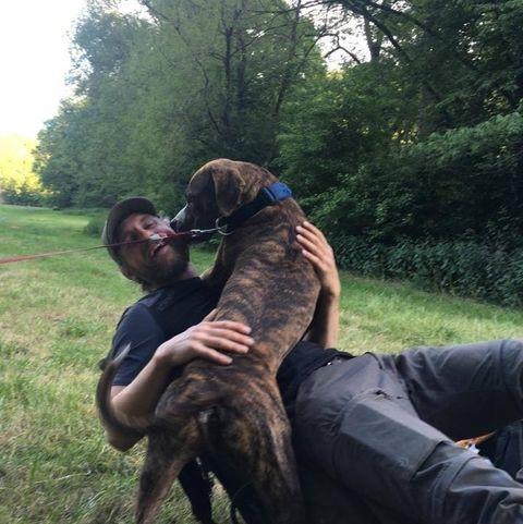 user avatar
