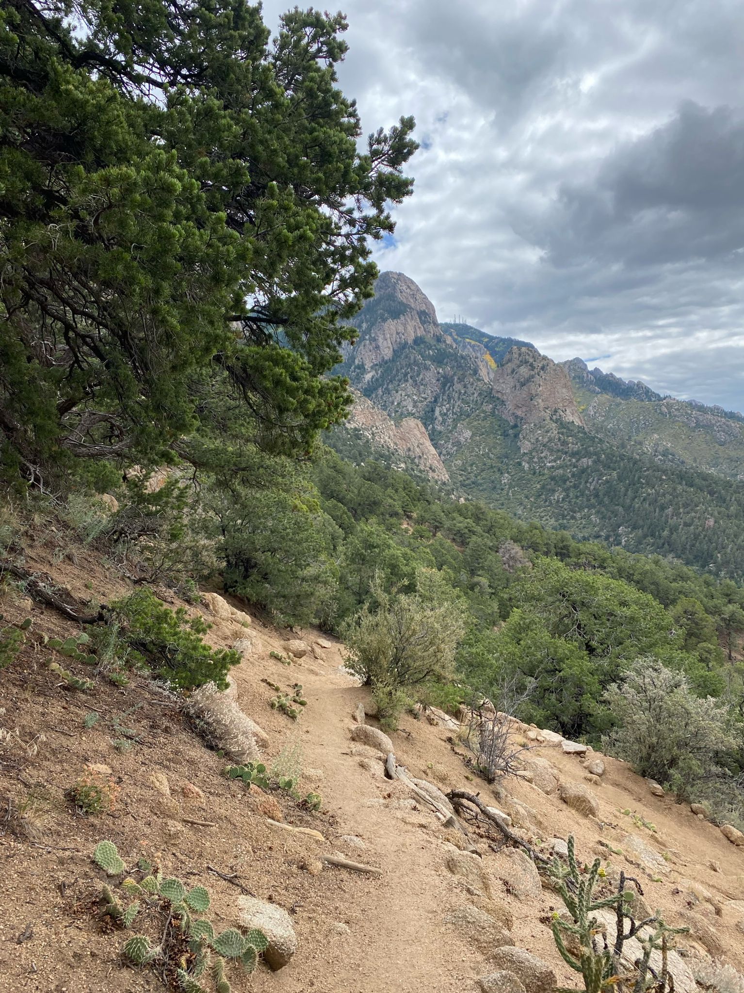 Dirt trail winding up a forested mountain slope under cloudy skies. - Piedra Lisa South Trail